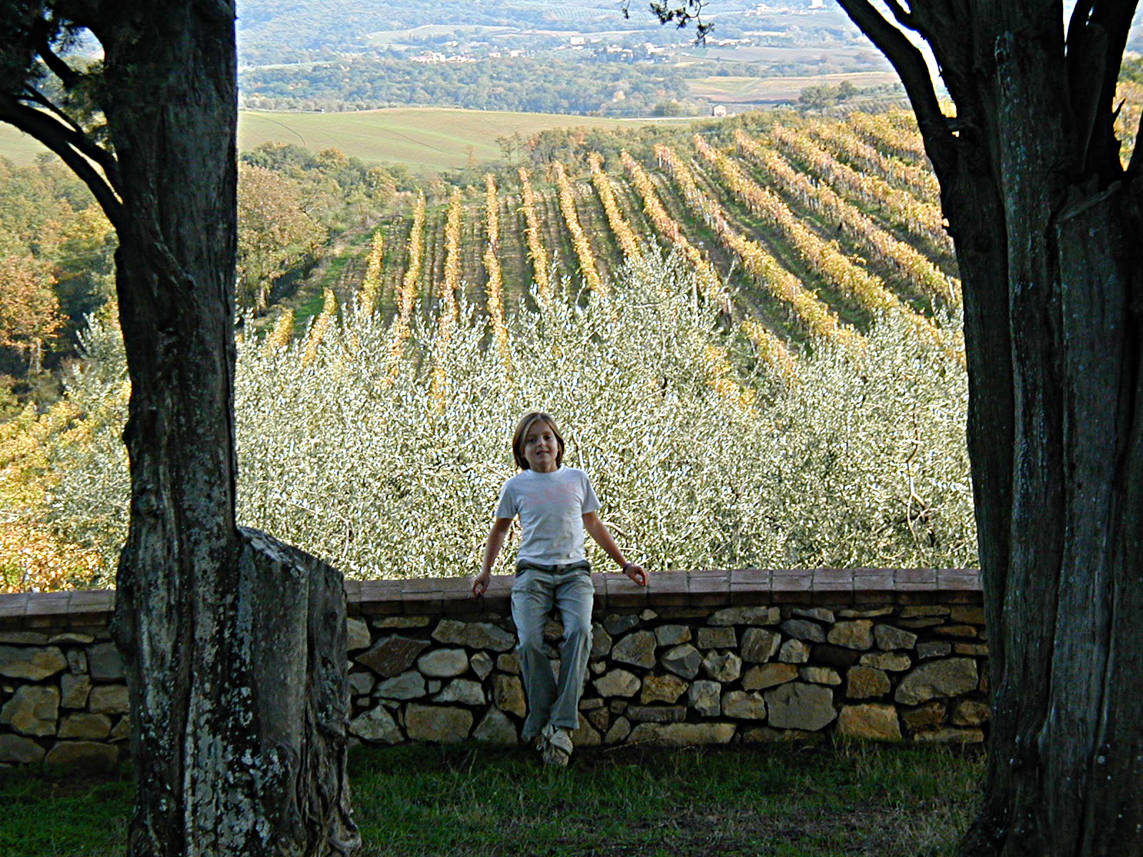 Olympus C990Z,D490Z sample photo. Oliva al poggiarone photography
