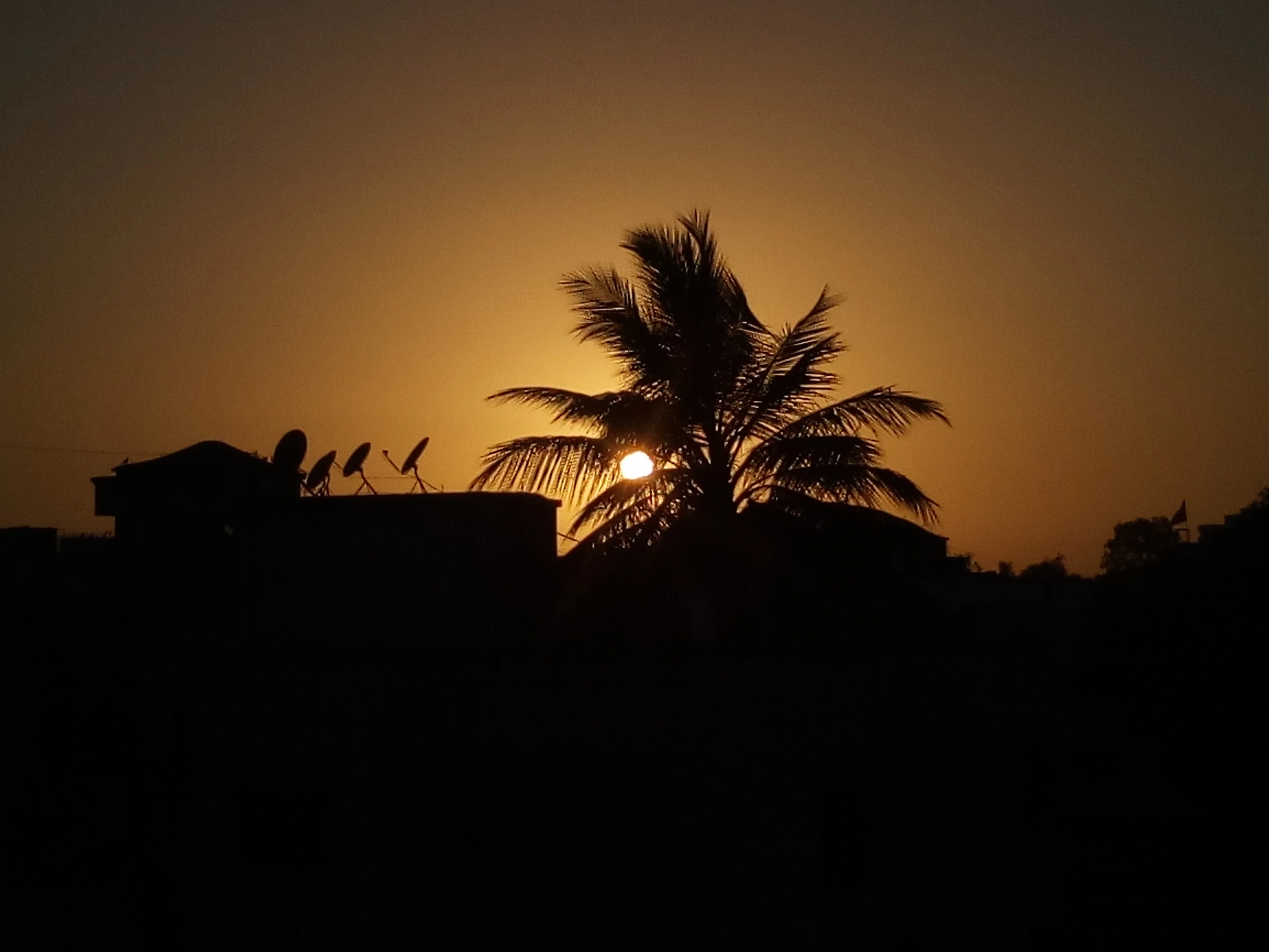 Micromax Canvas A1 sample photo. Dark evenings photography