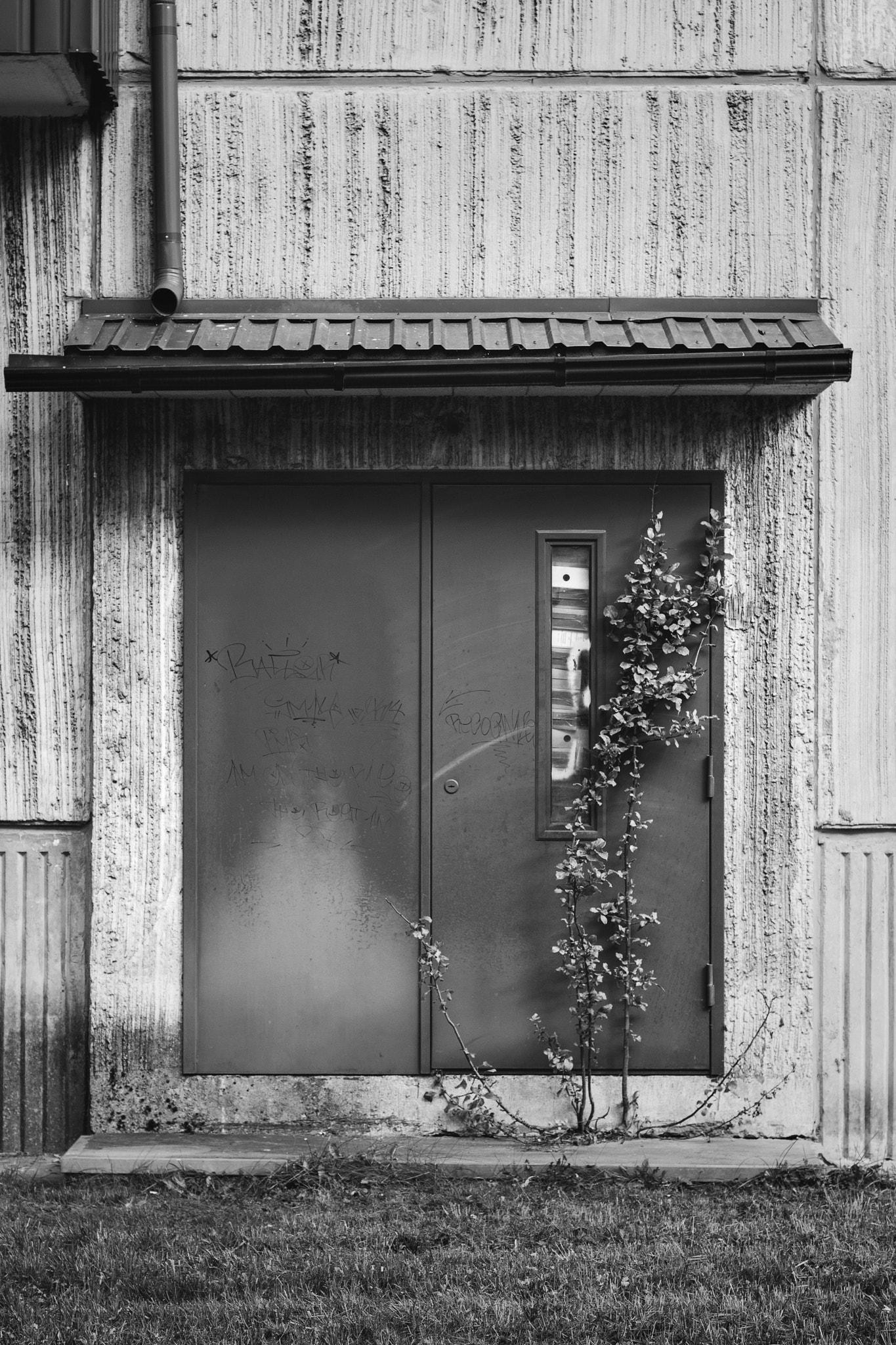 Canon EOS 750D (EOS Rebel T6i / EOS Kiss X8i) + Canon EF 50mm F1.4 USM sample photo. Discord photography