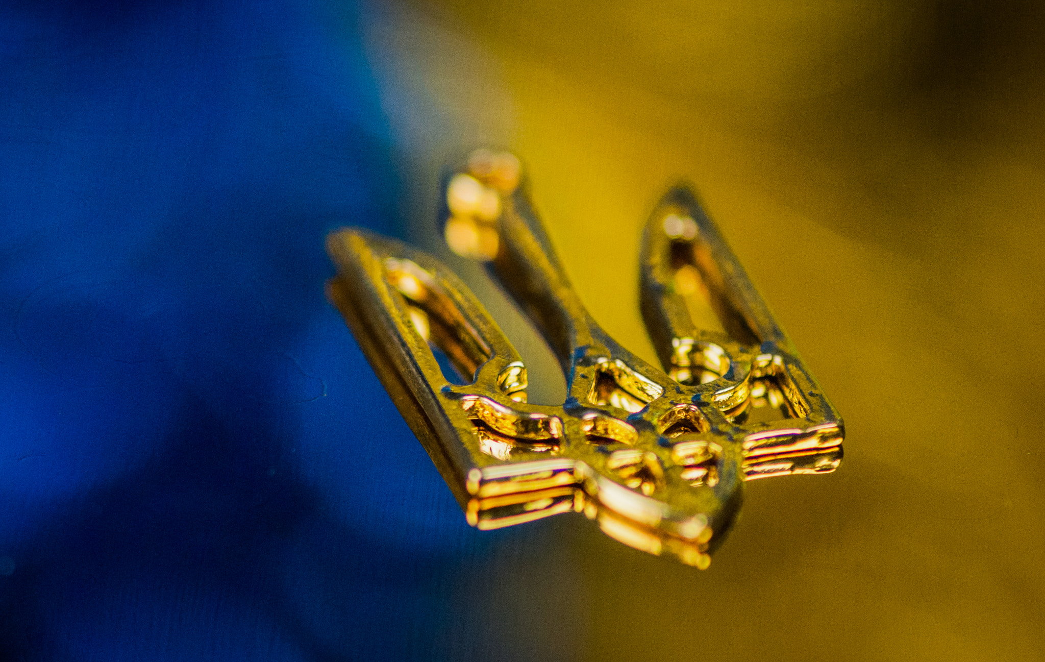 Nikon AF-S Micro-Nikkor 105mm F2.8G IF-ED VR sample photo. Trident. Тризуб. photography