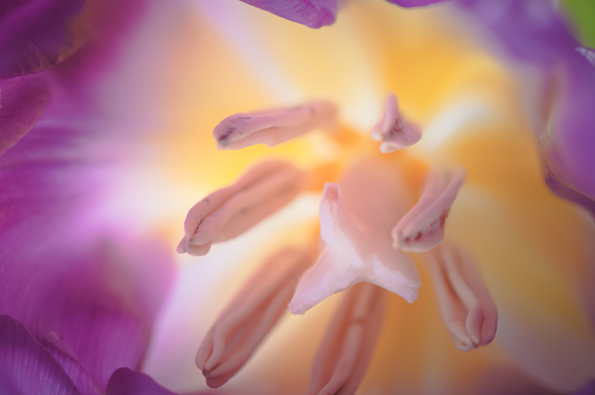 Nikon AF-S Micro-Nikkor 105mm F2.8G IF-ED VR sample photo. Nozzle. Сопло. photography