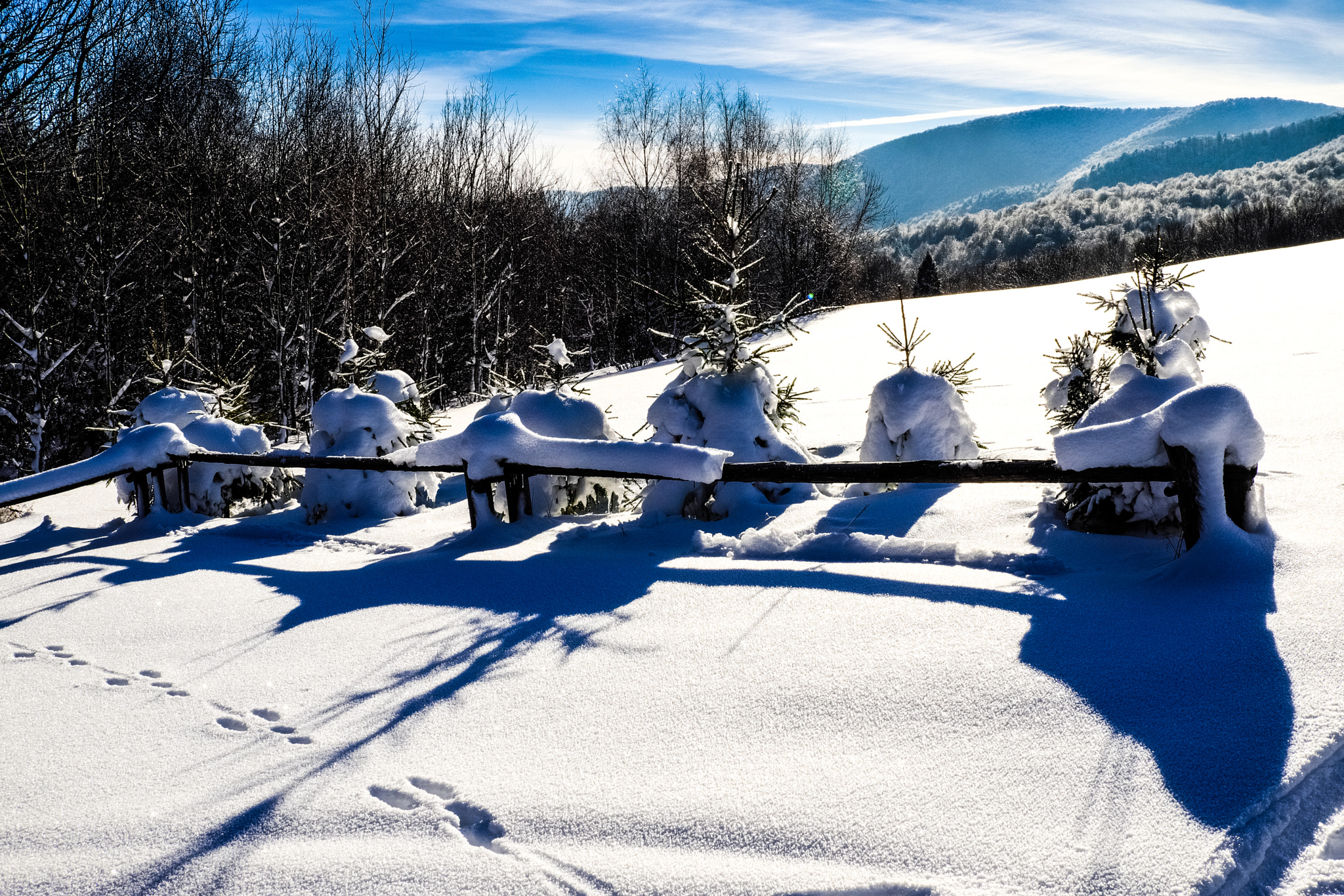 Fujifilm X-Pro2 sample photo. Snow & sun photography