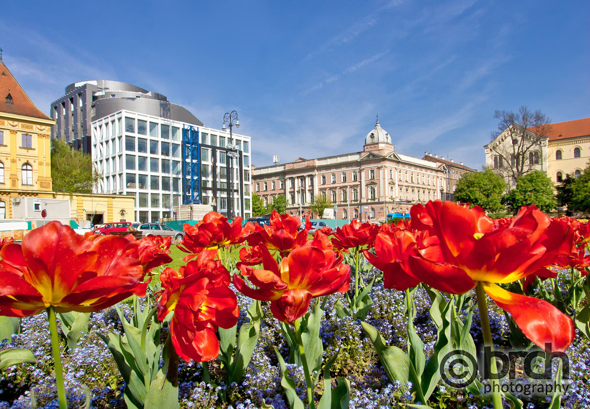 Canon EF-S 10-22mm F3.5-4.5 USM sample photo. Zagreb colorful flora and architecture photography