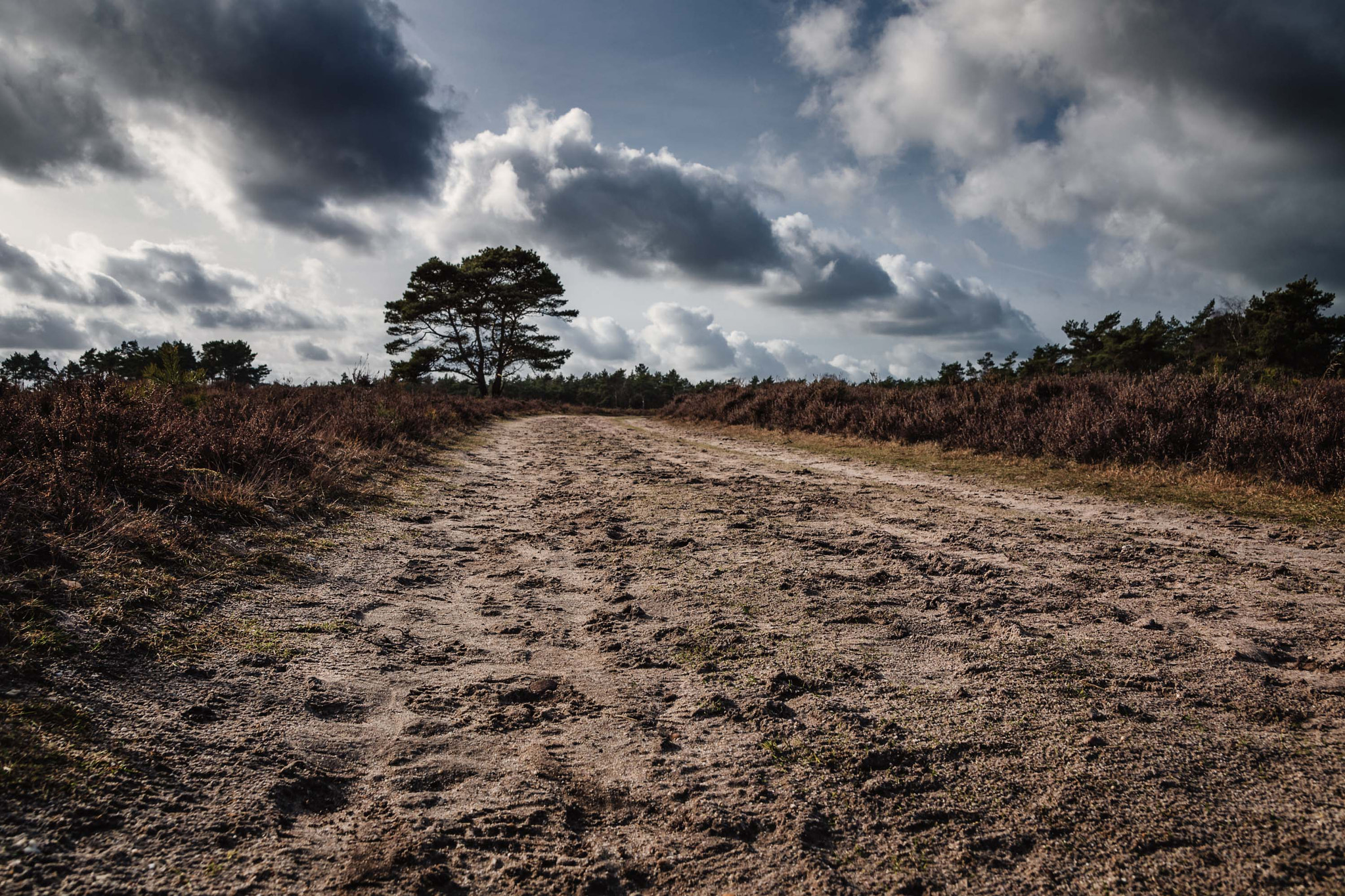 Sigma 17-50mm F2.8 EX DC OS HSM sample photo. Country road photography