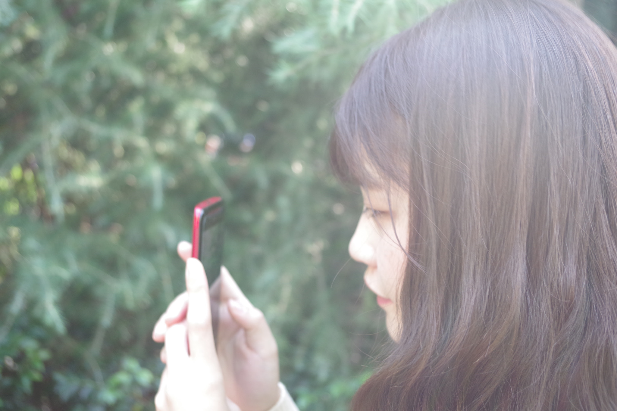 smc PENTAX-DA L 18-55mm F3.5-5.6 sample photo. Light photography