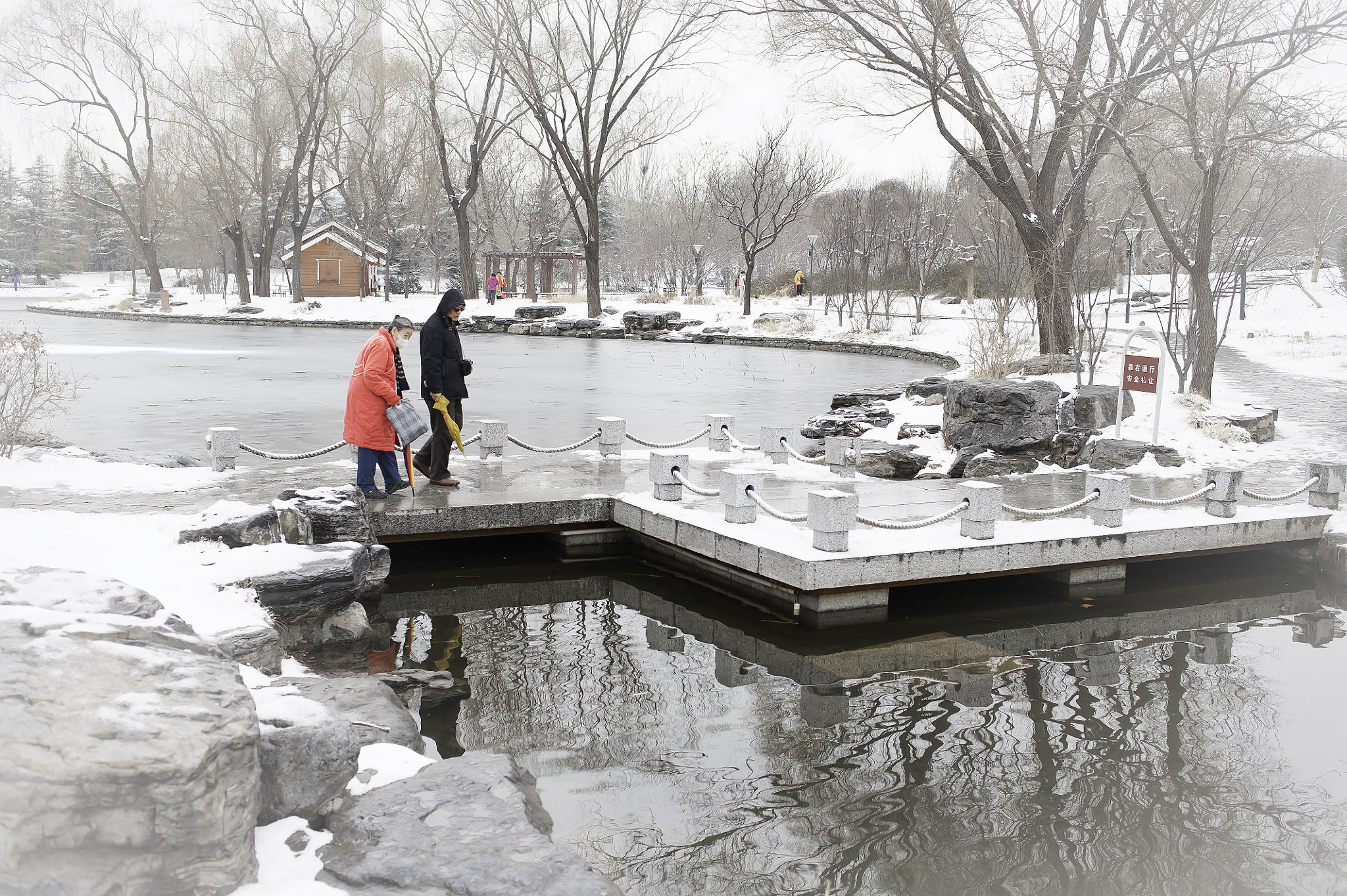 Nikon D700 sample photo. Winter photography
