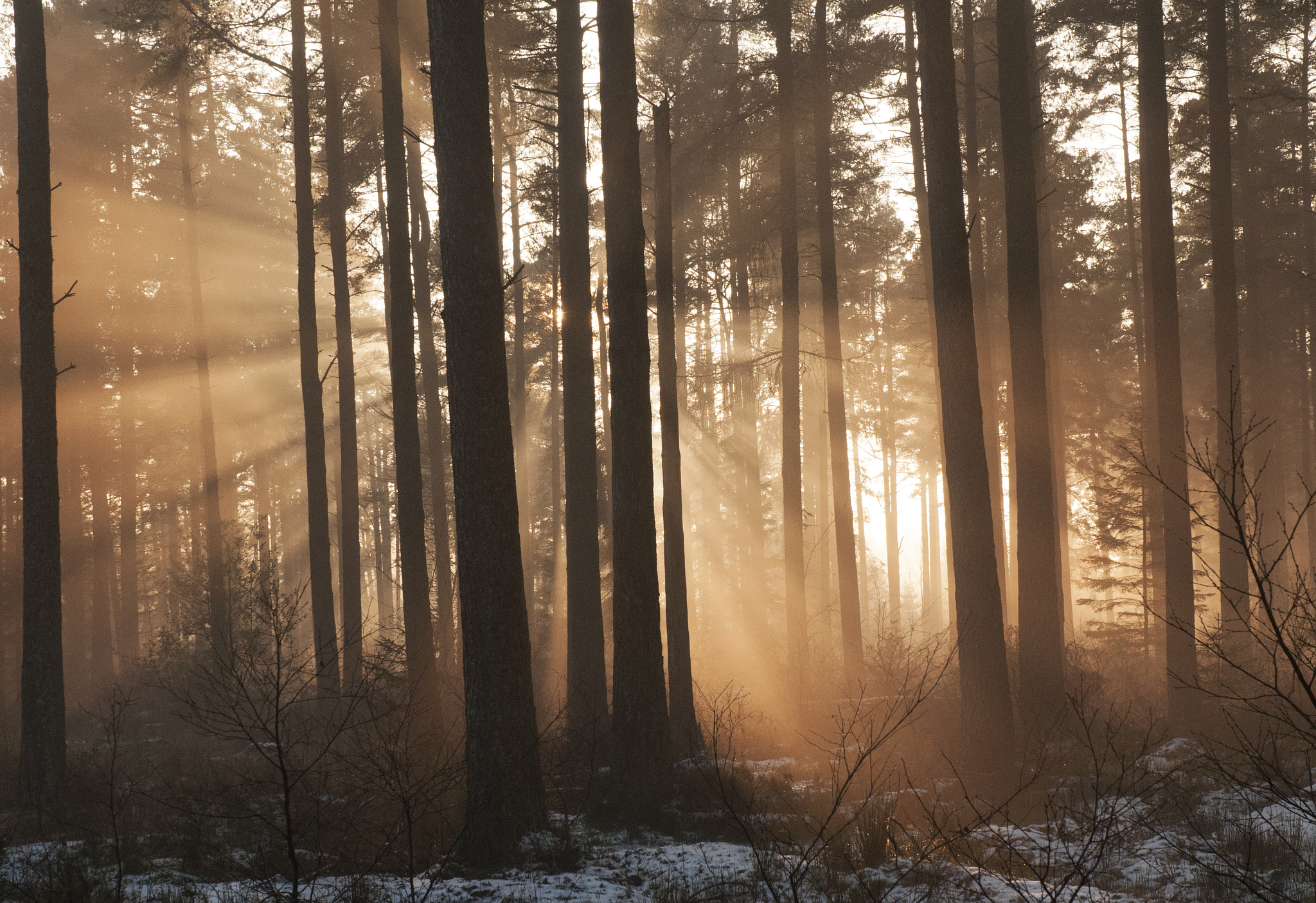 Nikon D300 sample photo. Sunburst photography