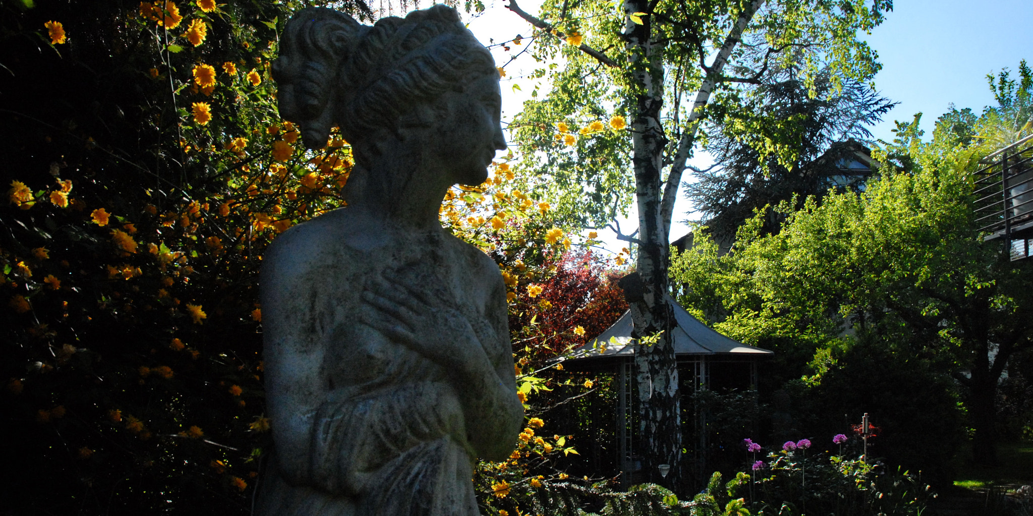 Nikon D200 sample photo. Garden photography