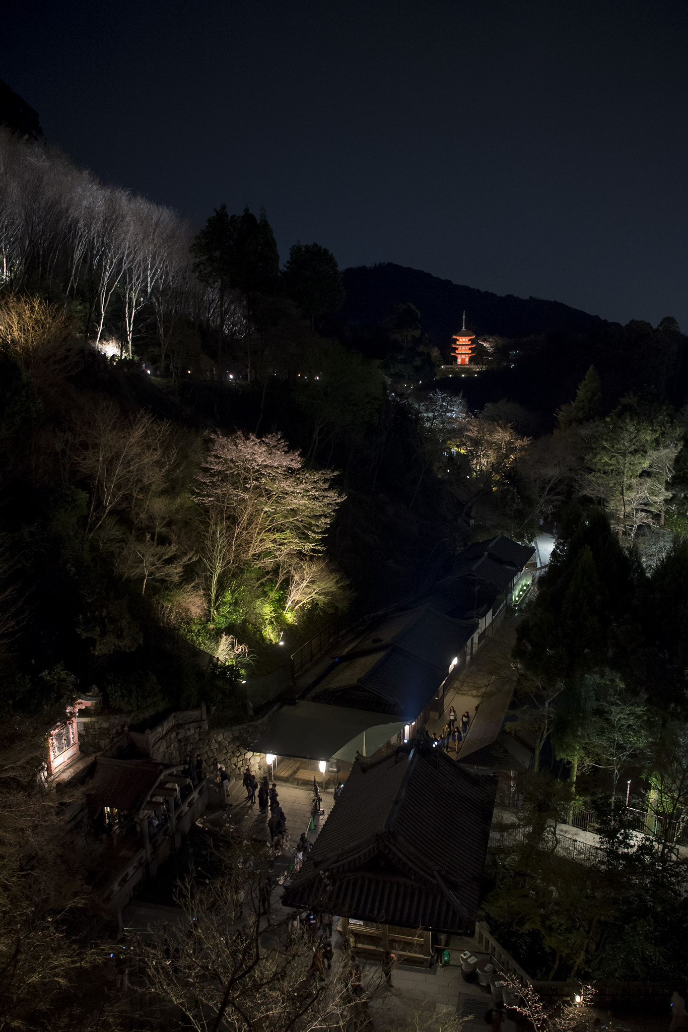Nikon AF-S Nikkor 24-70mm F2.8E ED VR sample photo. Temple road photography