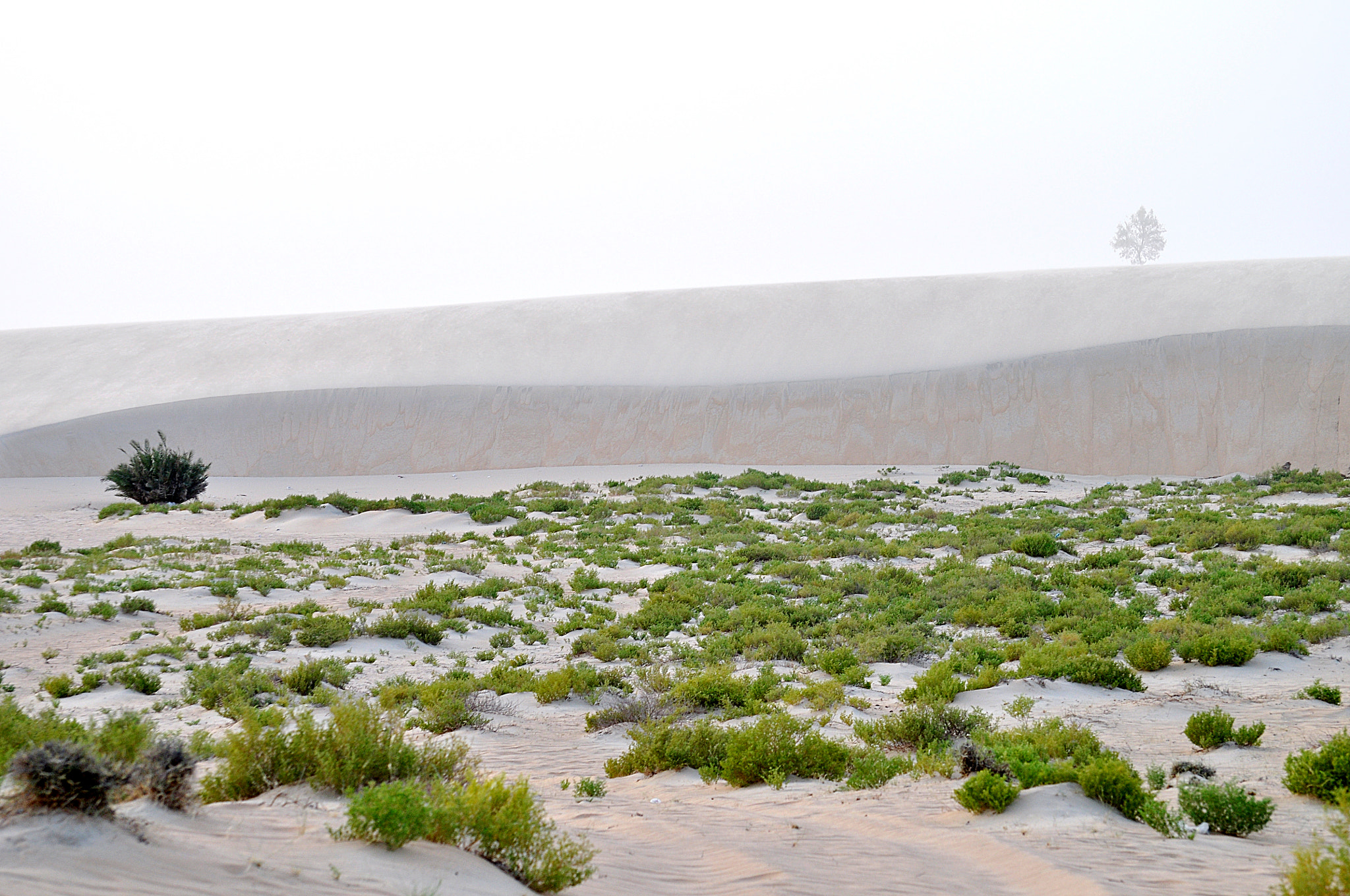 Nikon D5000 sample photo. The desert photography