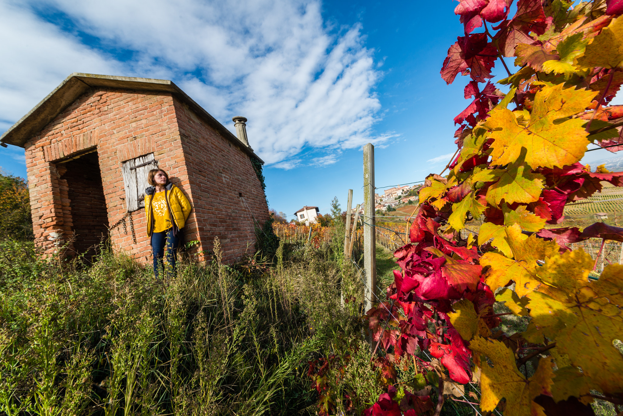 Sigma 12-24mm F4.5-5.6 II DG HSM sample photo. ;) . \colors photography