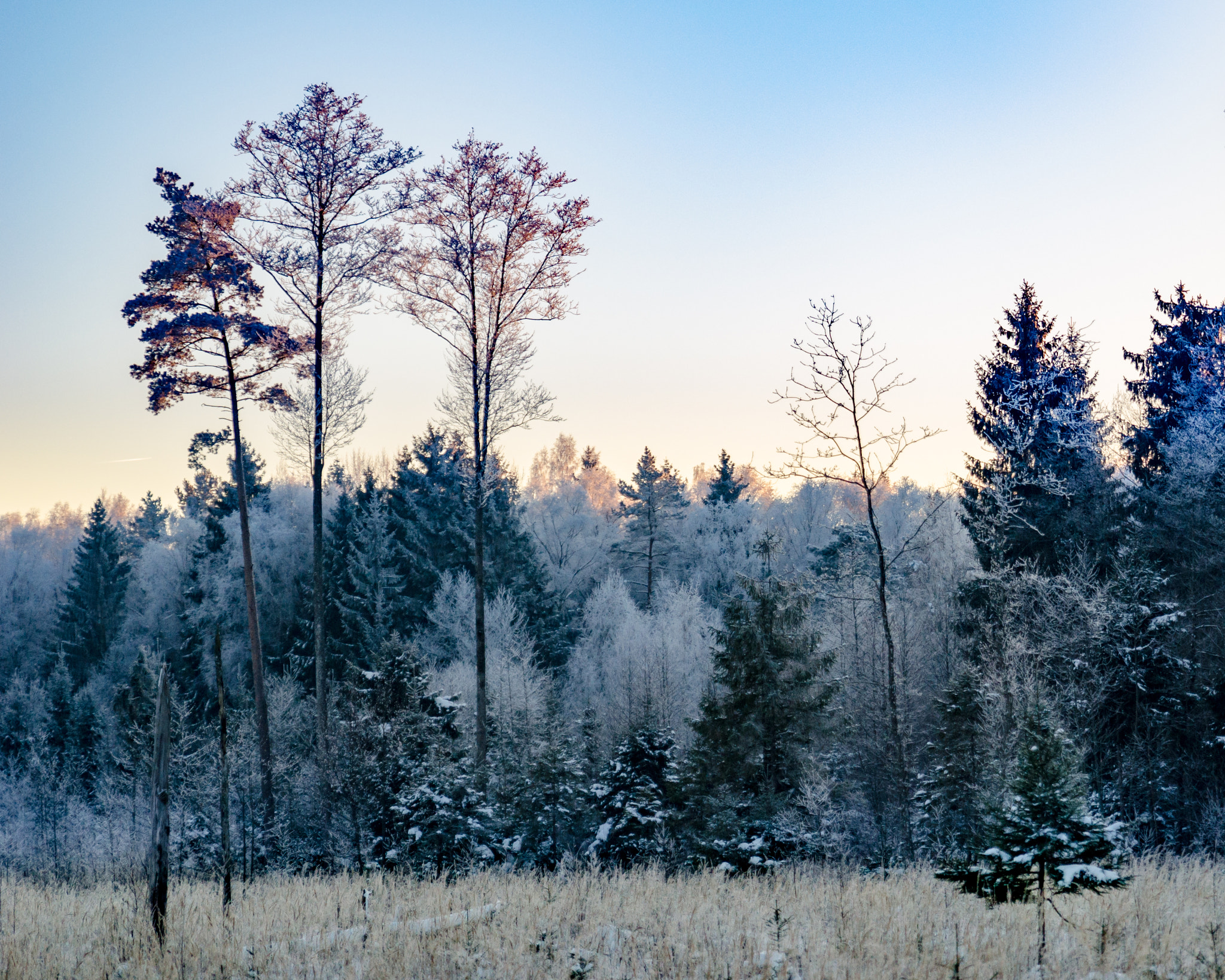 Tamron SP 24-70mm F2.8 Di VC USD sample photo. Frozen fairytale 6 photography