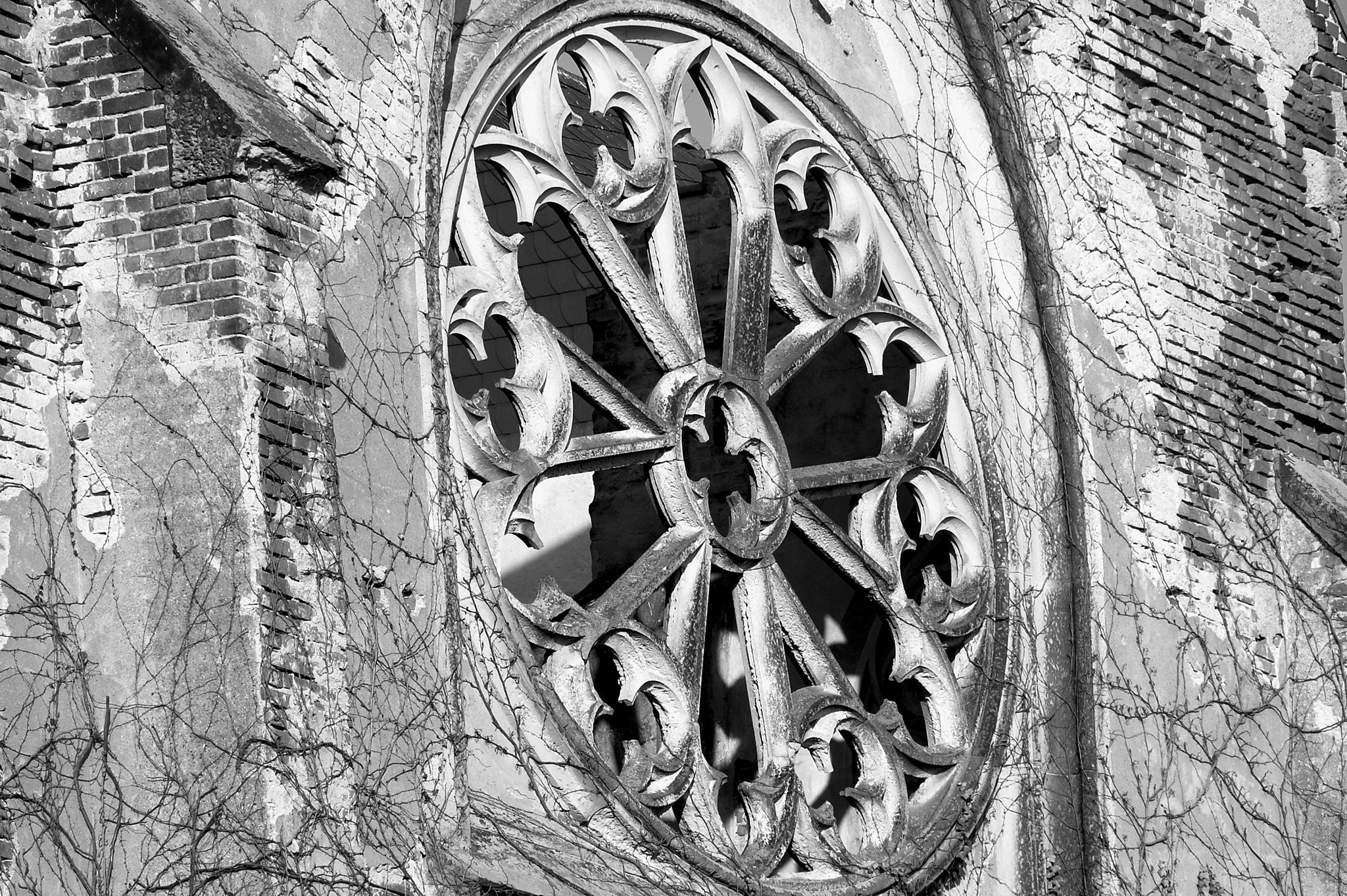 Nikon D40 sample photo. Gothic window photography