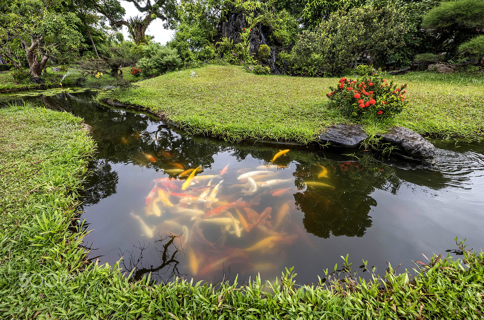 Panasonic Lumix DMC-GX8 + Panasonic Lumix G Vario 7-14mm F4 ASPH sample photo. Peces photography