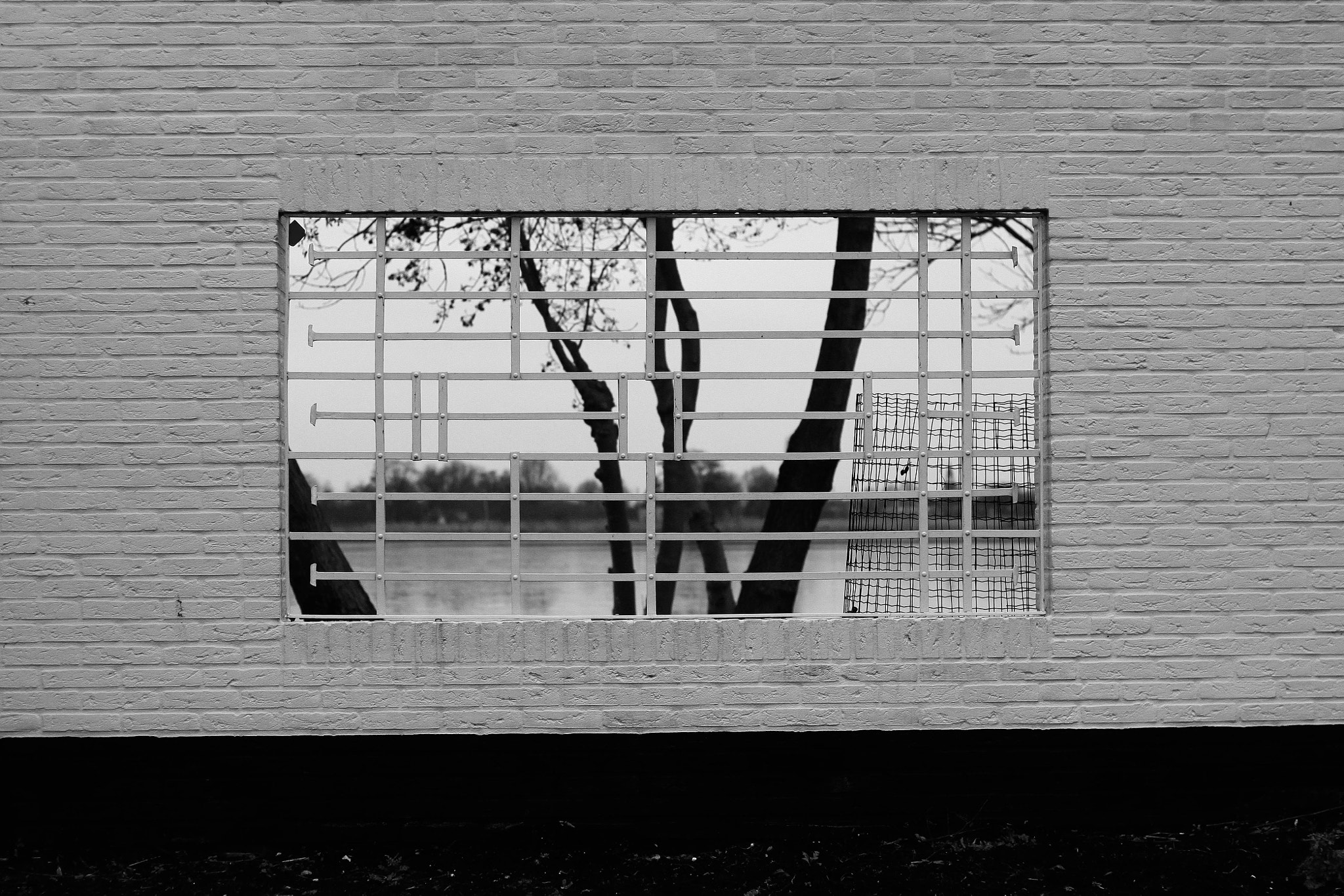 Canon EOS 450D (EOS Rebel XSi / EOS Kiss X2) + Canon EF 50mm F1.8 II sample photo. Window photography