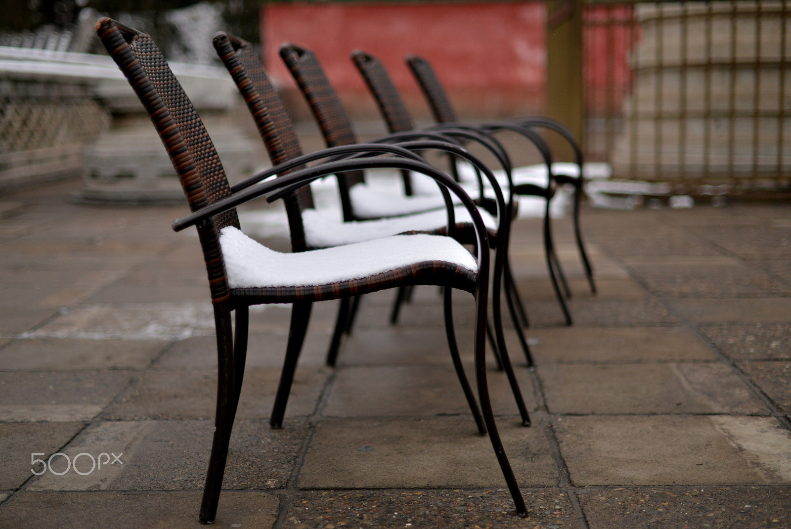 Nikon D800 sample photo. Late winter snow, spring came photography