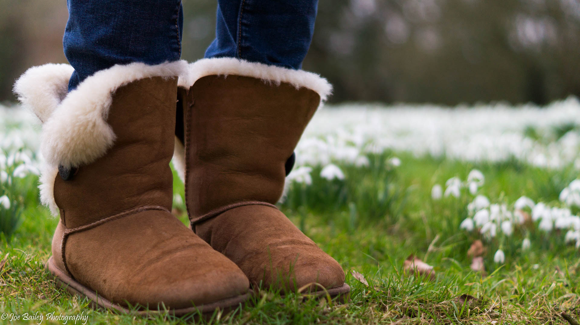 Sony SLT-A58 + Sony DT 50mm F1.8 SAM sample photo. Joe bailey photography snowdrops (of ) photography