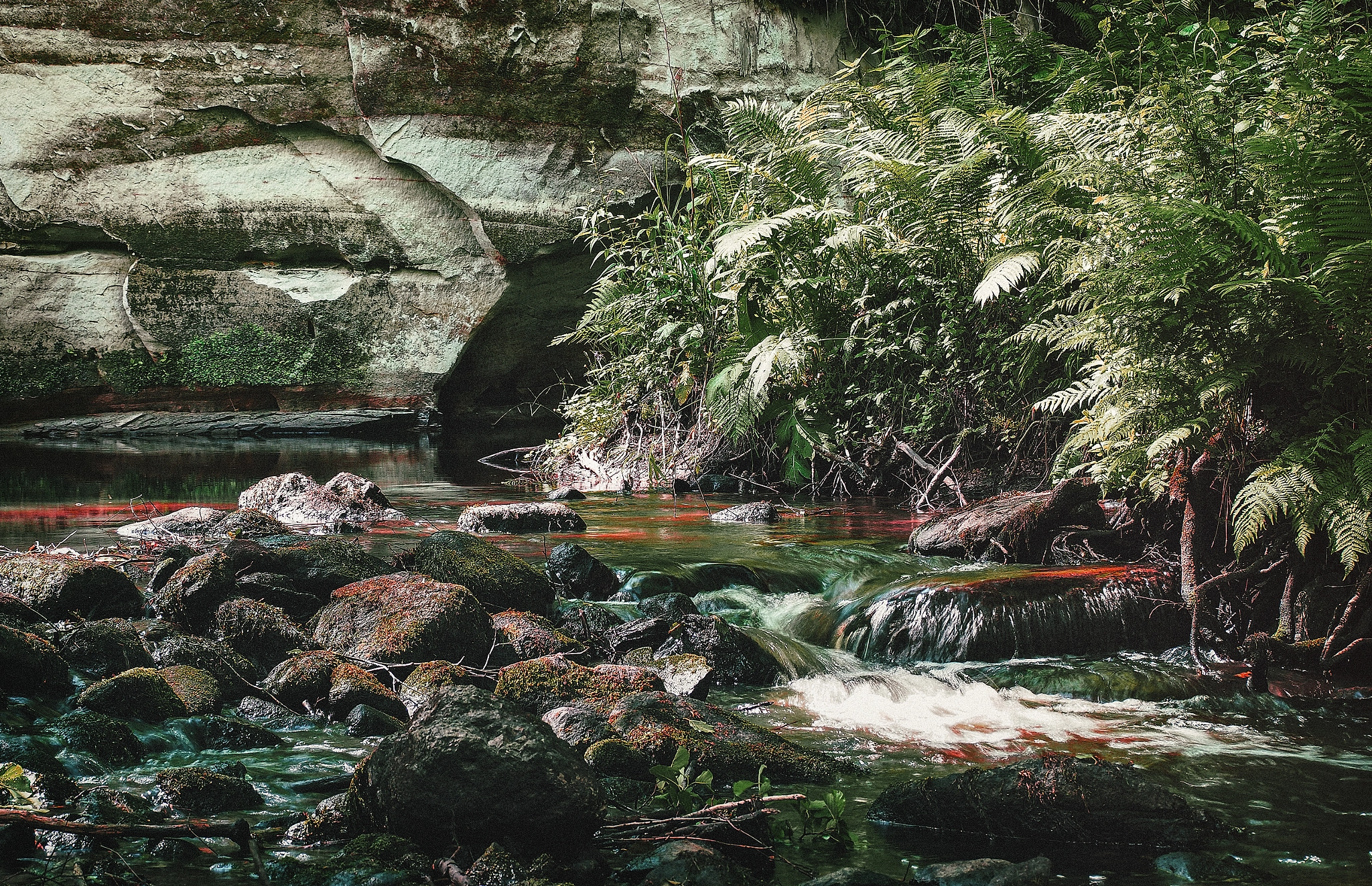 Olympus OM-D E-M5 II sample photo. From underground spring photography