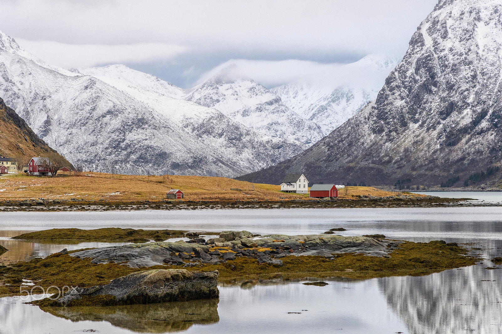 Nikon AF-S Nikkor 24-120mm F4G ED VR sample photo. Life in the fjords photography