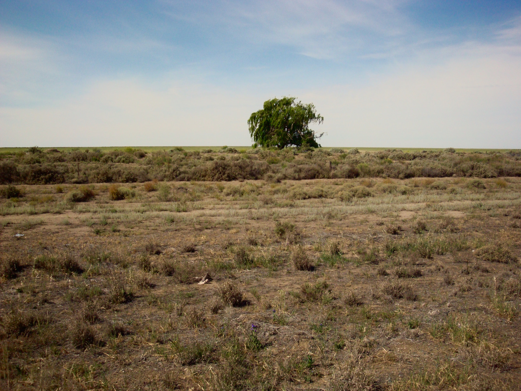 Sony Cyber-shot DSC-W150 sample photo. "outback" -  south australia photography