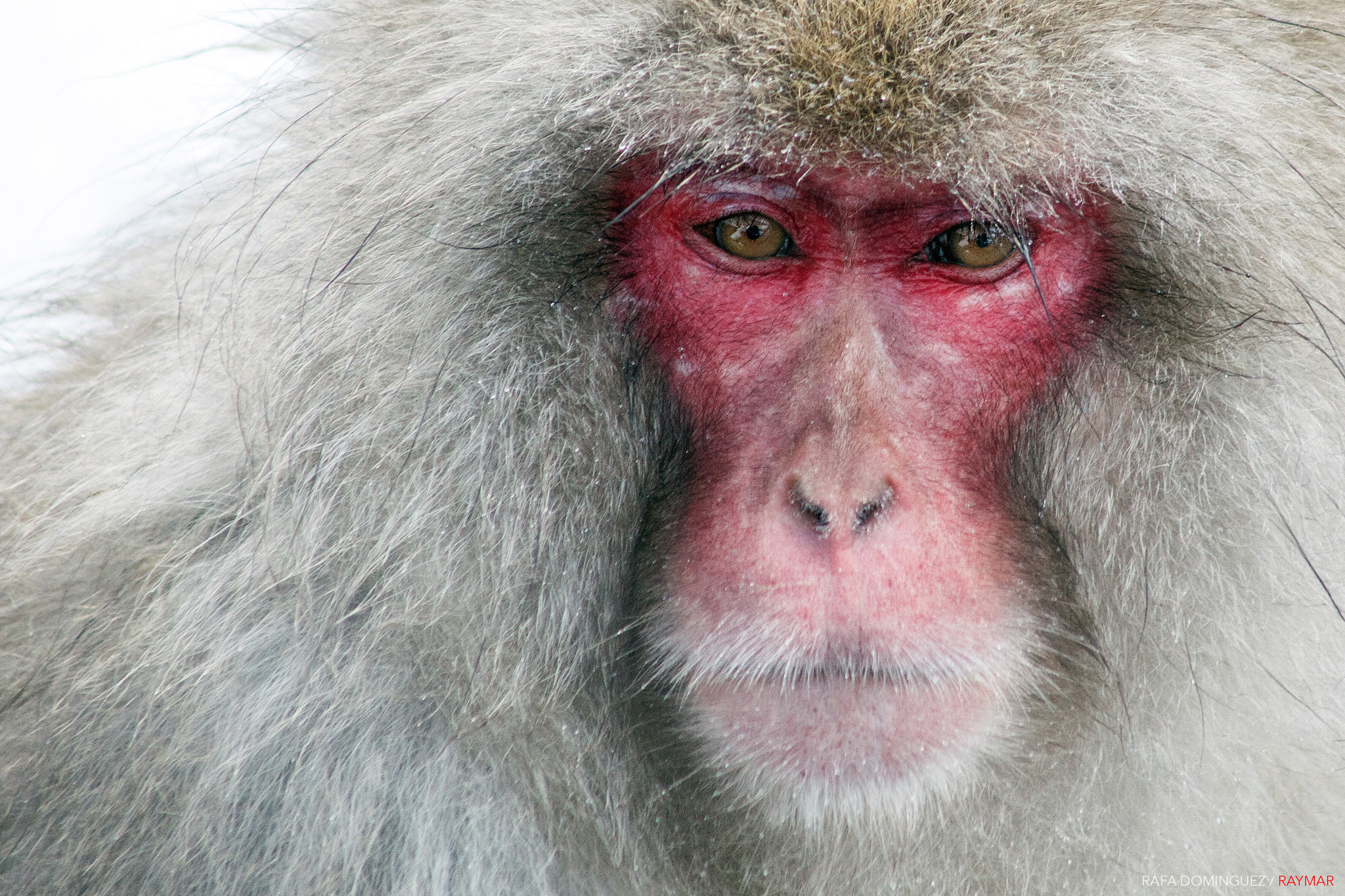 EF75-300mm f/4-5.6 sample photo. Look within photography