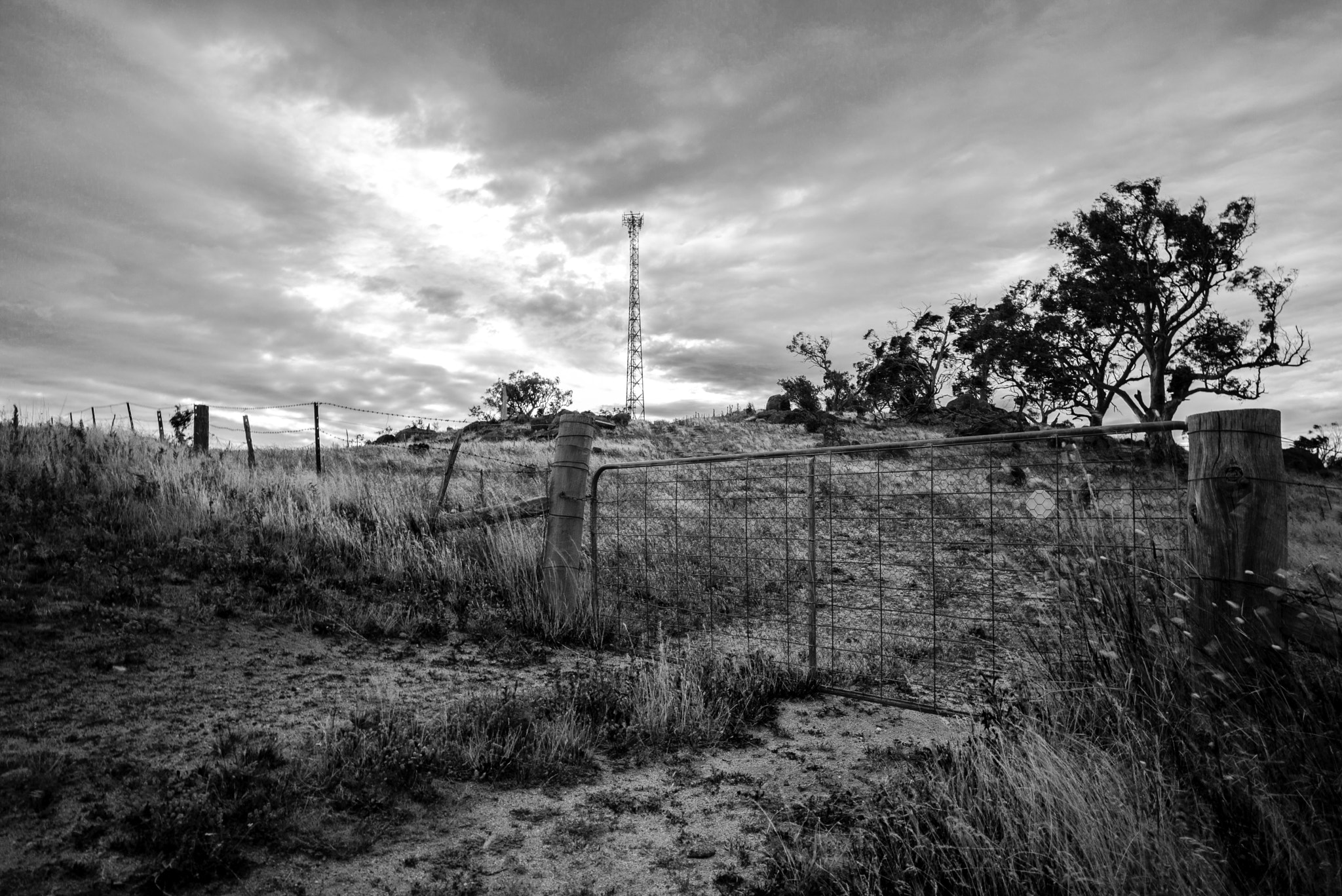 Leica Super-Elmar-M 21mm F3.4 ASPH sample photo. The cable tower photography