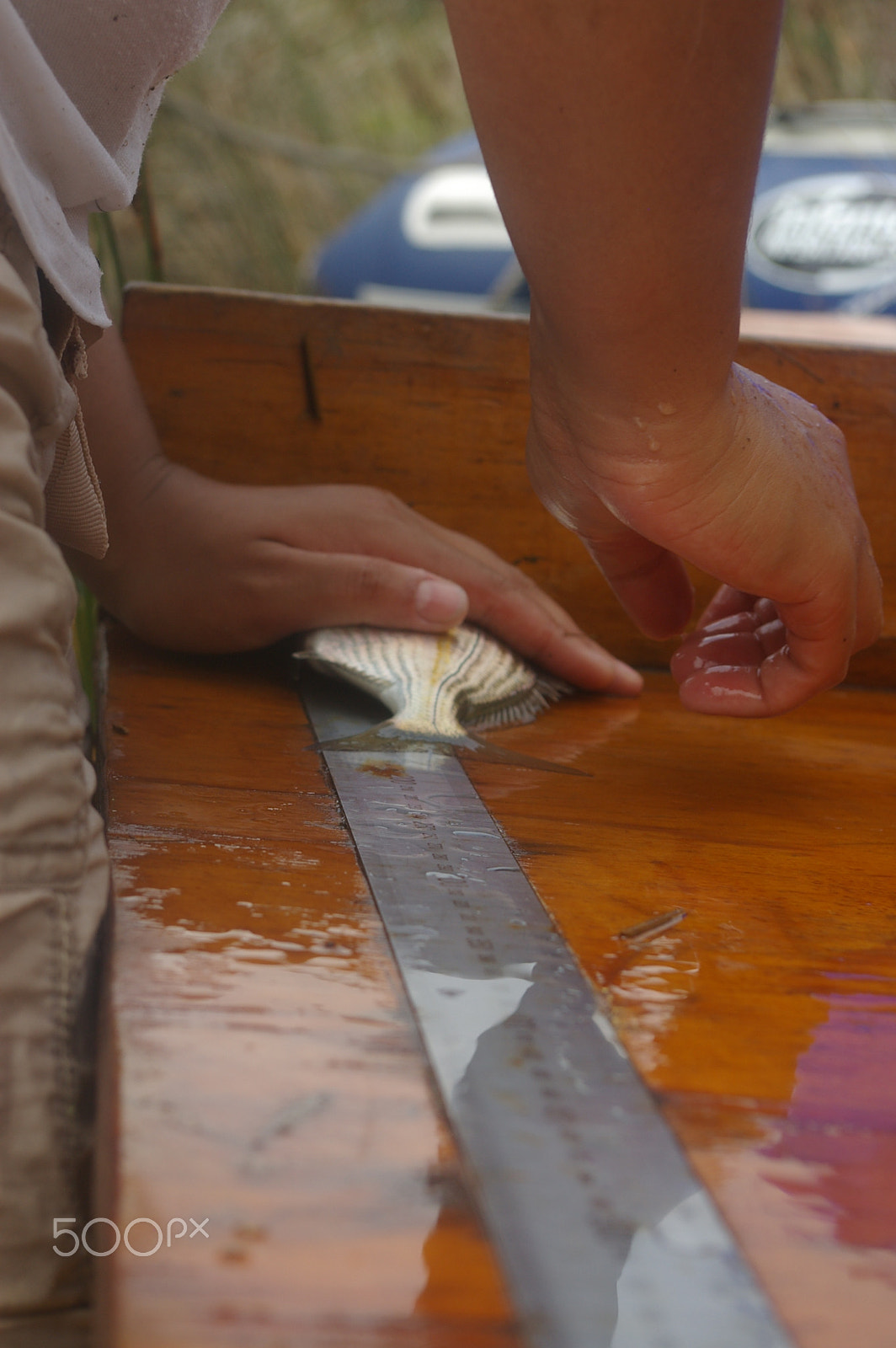 Pentax smc DA 18-55mm F3.5-5.6 AL sample photo. Nature's valley measuring fish photography
