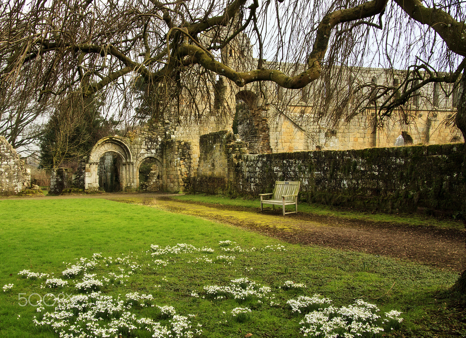 Canon EF-S 17-85mm F4-5.6 IS USM sample photo. Snowdrops at jervaulx photography