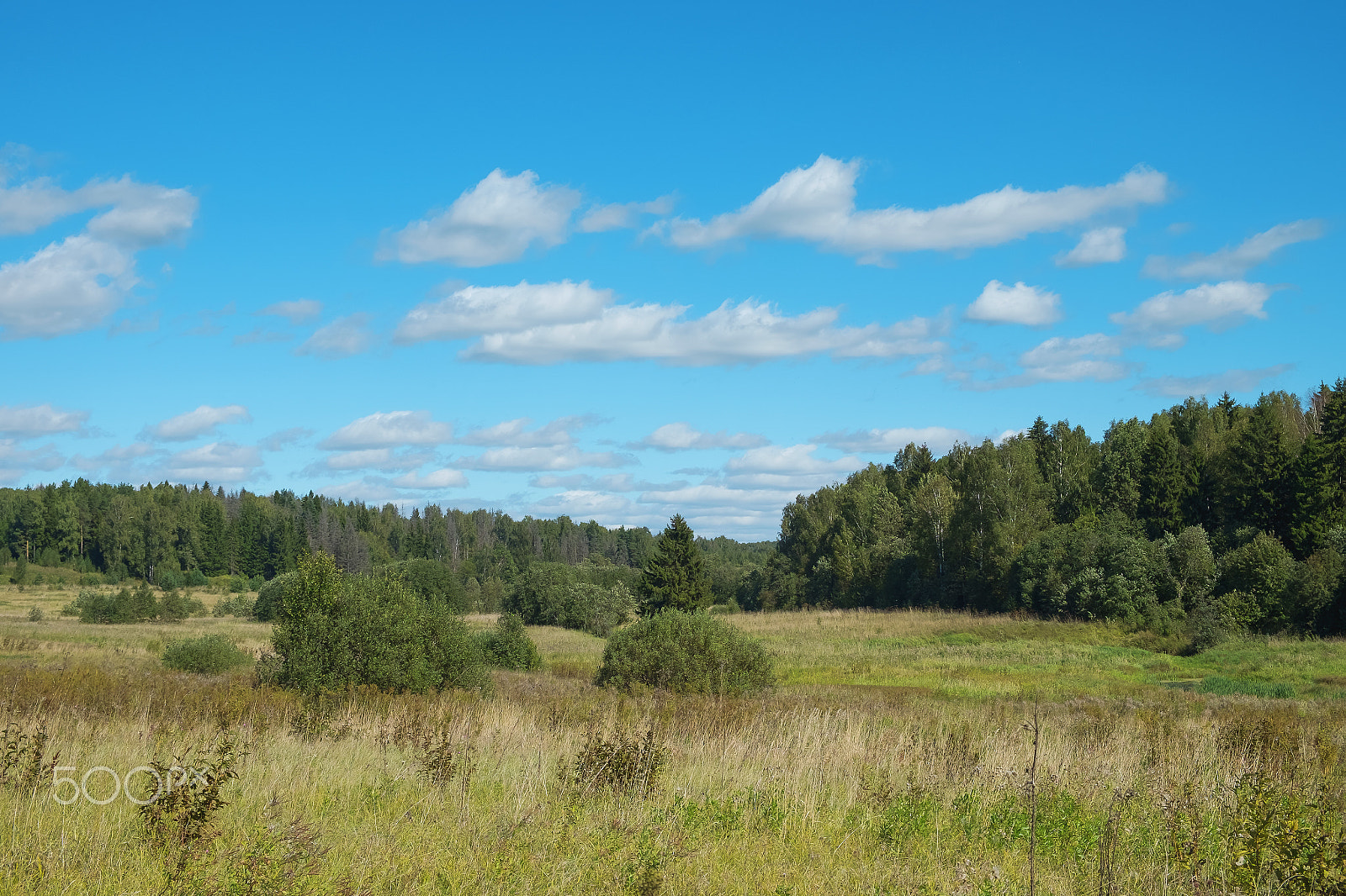 Fujifilm X-E2S sample photo. Summer landscape in the natural park photography