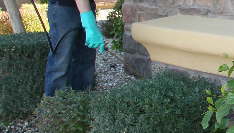Pest Control