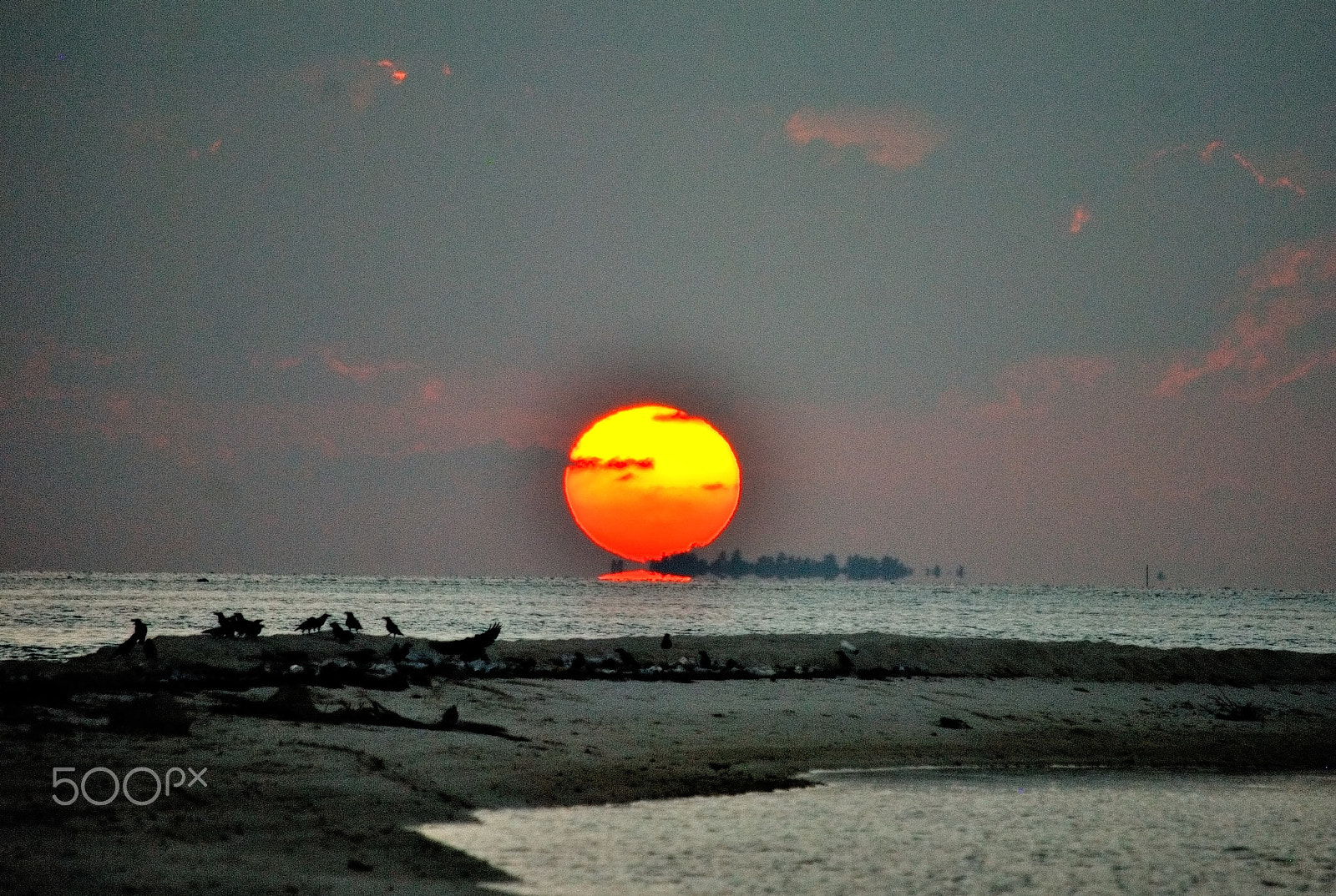 Nikon D200 sample photo. Pradeepkumar chellappan photography