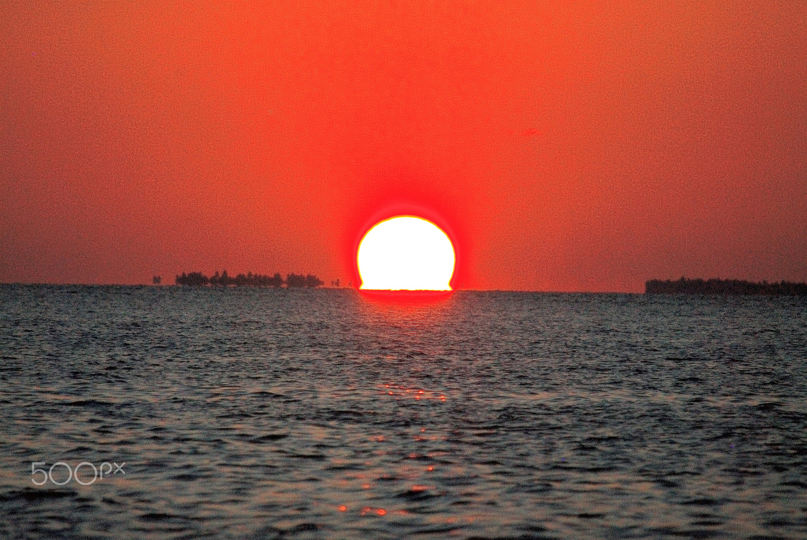 Nikon D200 sample photo. Pradeepkumar chellappan photography