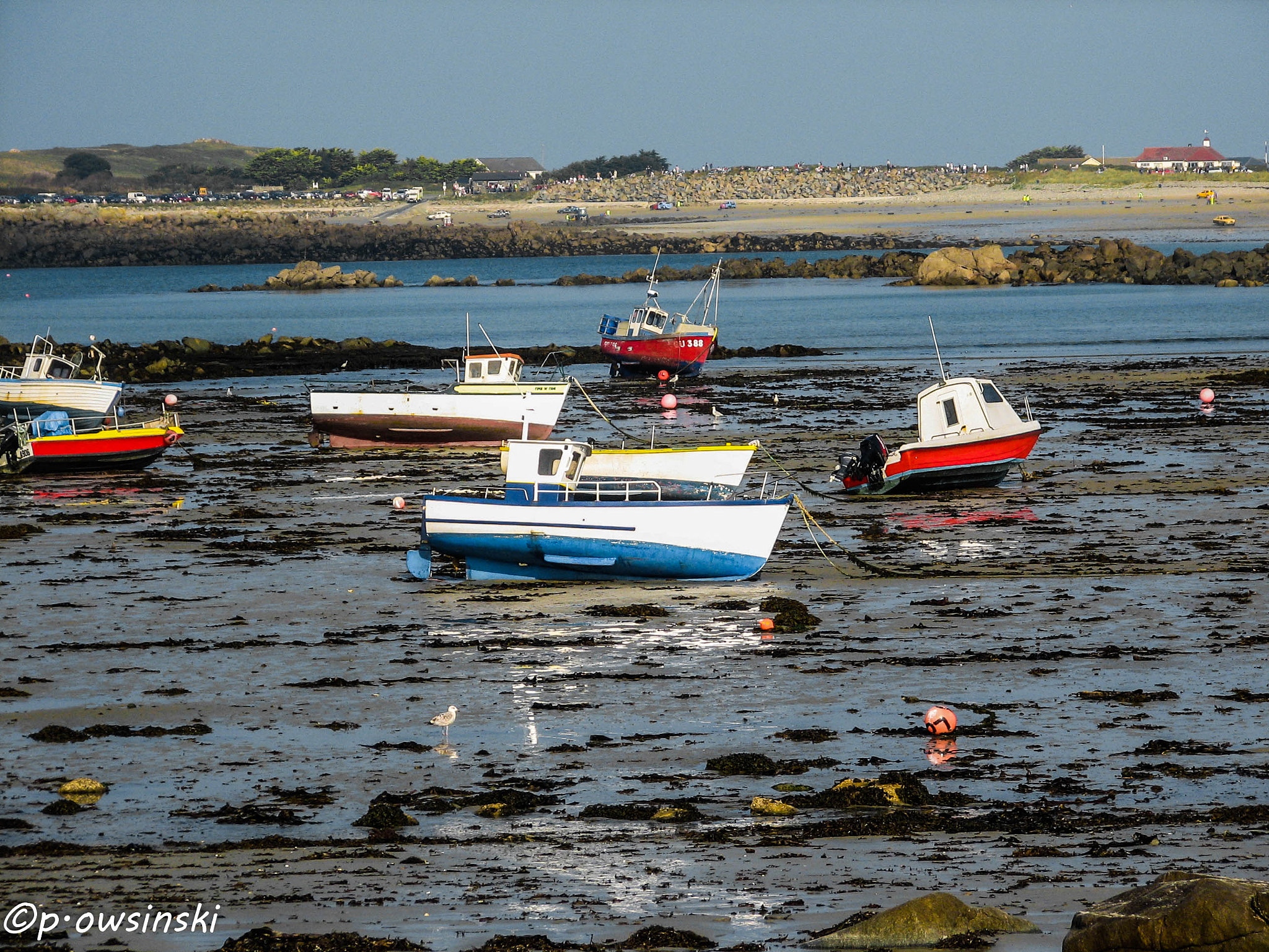 Canon POWERSHOT S2 IS sample photo. Fishing boats in a bay during outflow. guernsey island. photography
