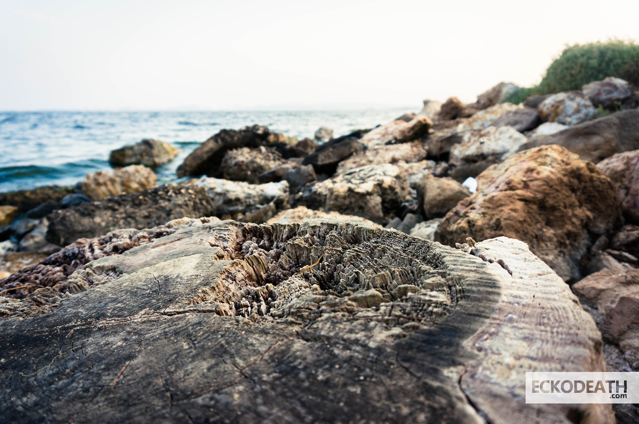 Sony Alpha NEX-5R sample photo. 2015 - projet 52 : #31 - wood, rock and water photography