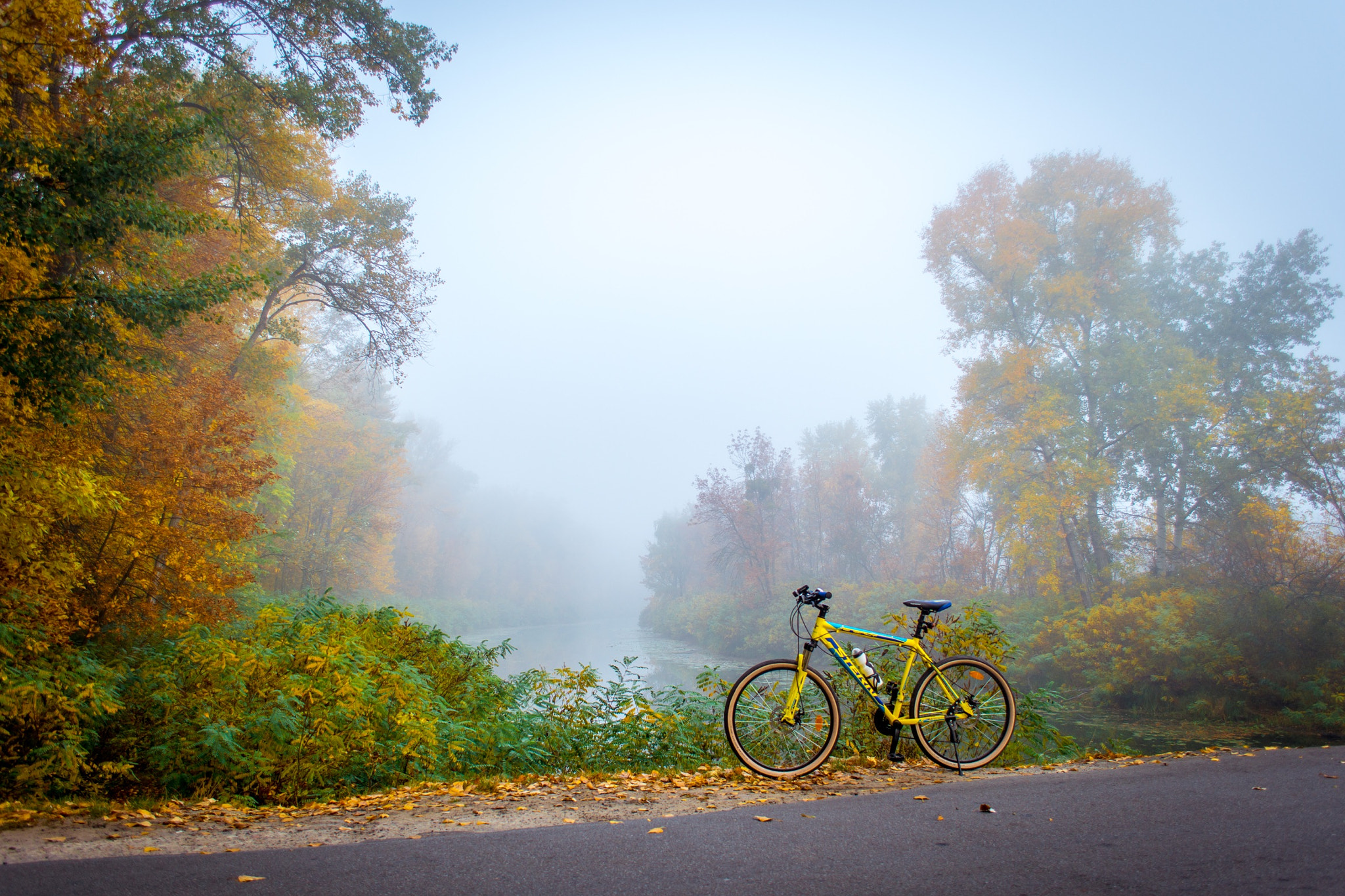 Nikon D7200 sample photo. Autumn. photography