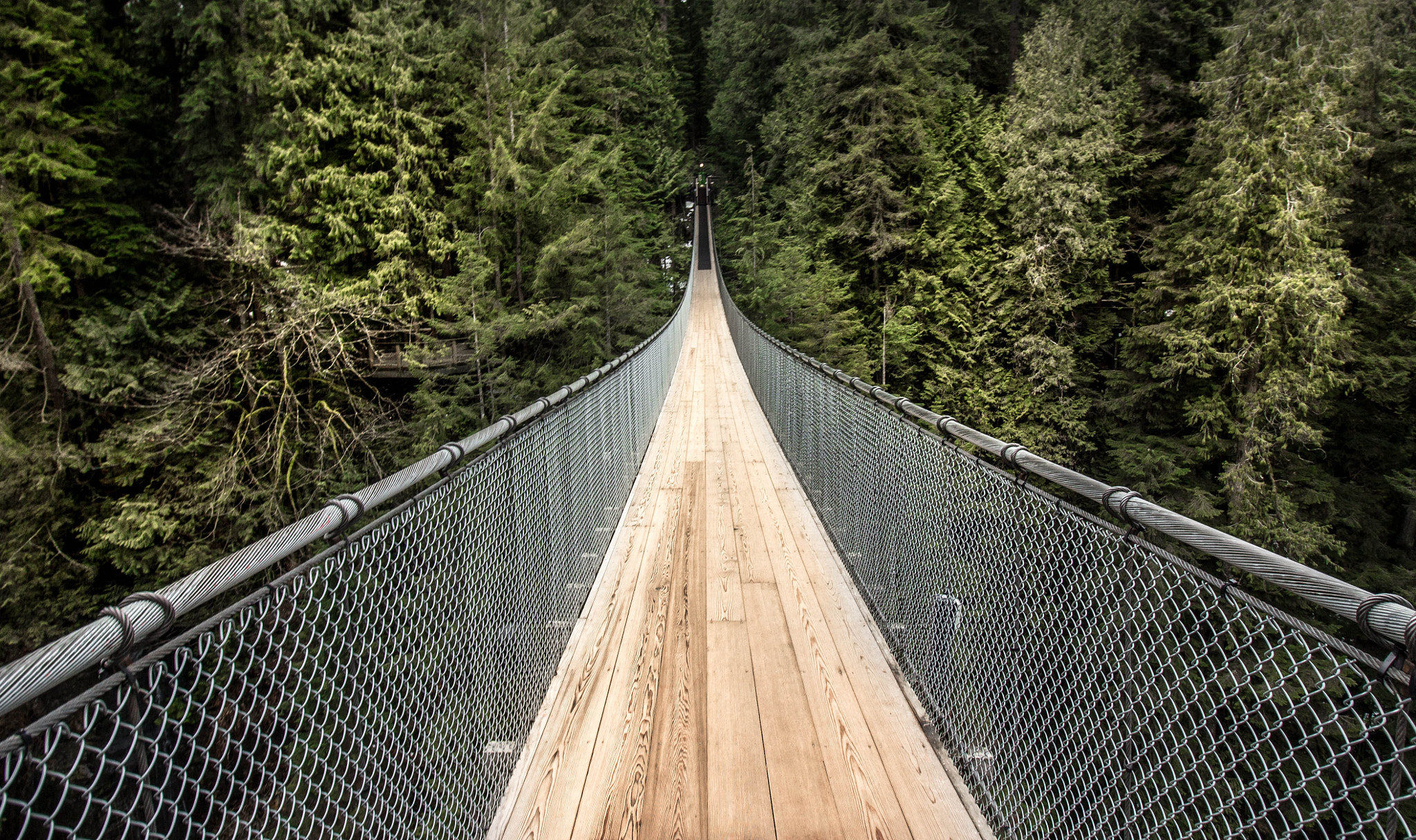 Canon EOS 600D (Rebel EOS T3i / EOS Kiss X5) sample photo. Capilano suspension bridge - vancouver photography