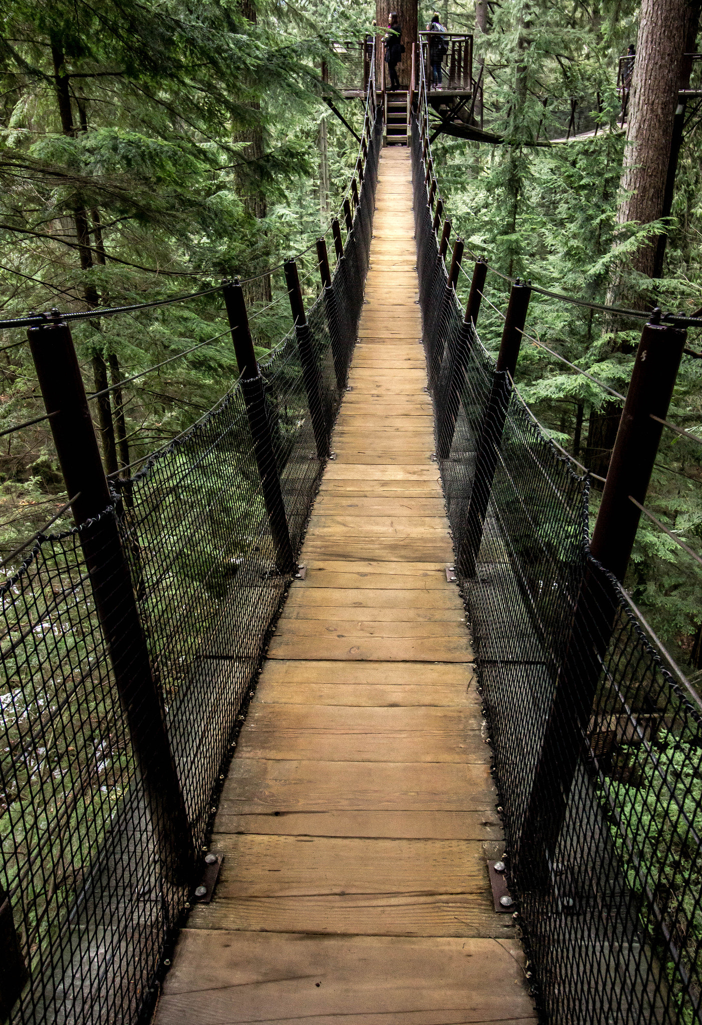 Canon EOS 600D (Rebel EOS T3i / EOS Kiss X5) sample photo. Capilano suspension bridge photography
