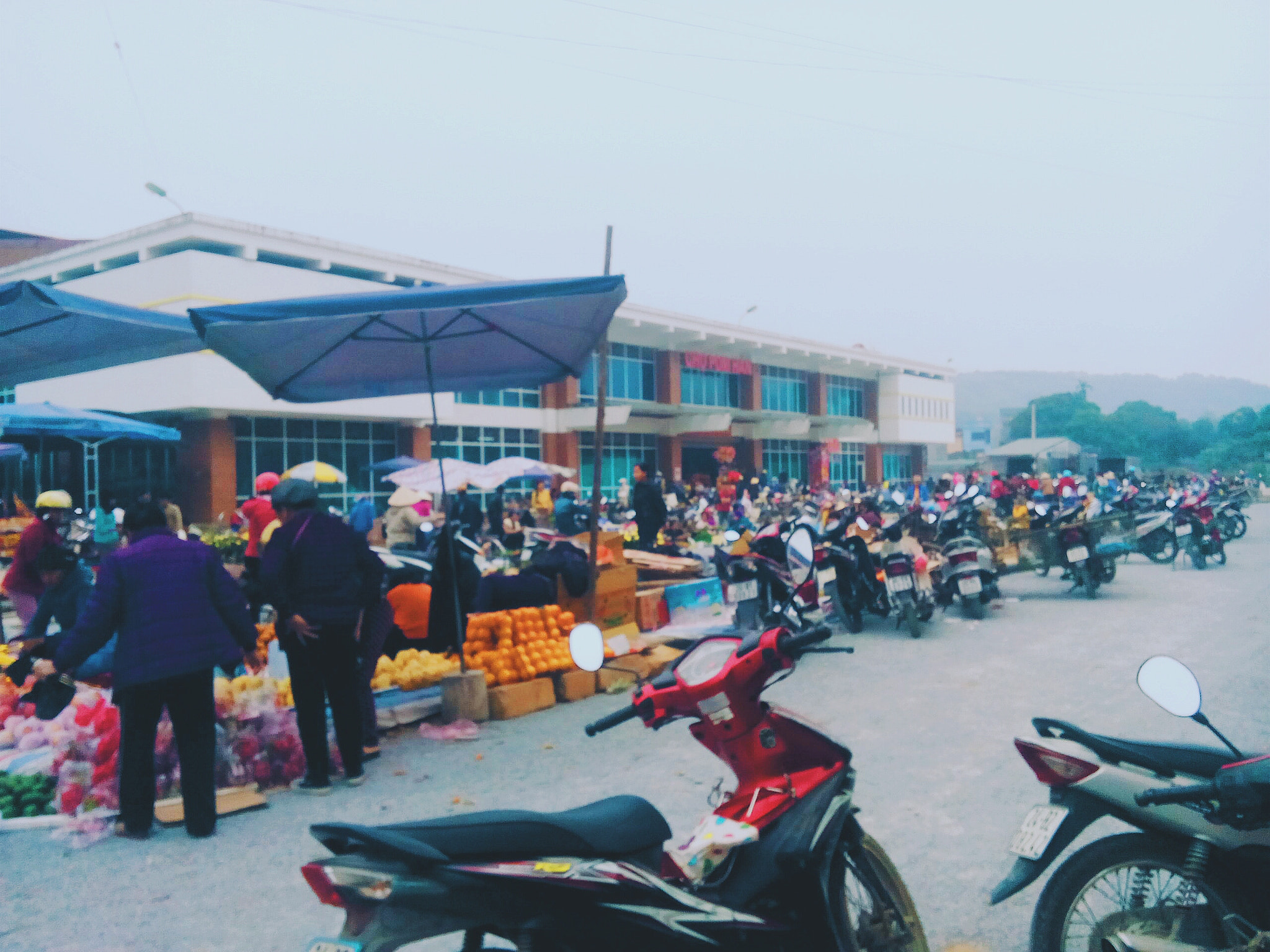OPPO A11w sample photo