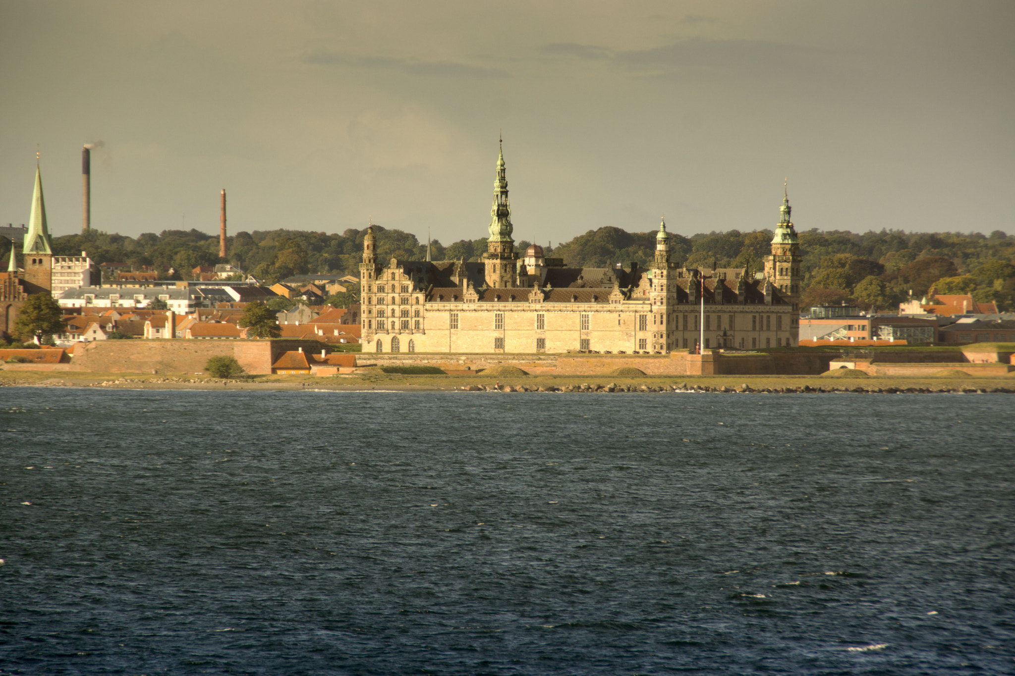 Sony SLT-A77 sample photo. Is hamlet at home? photography