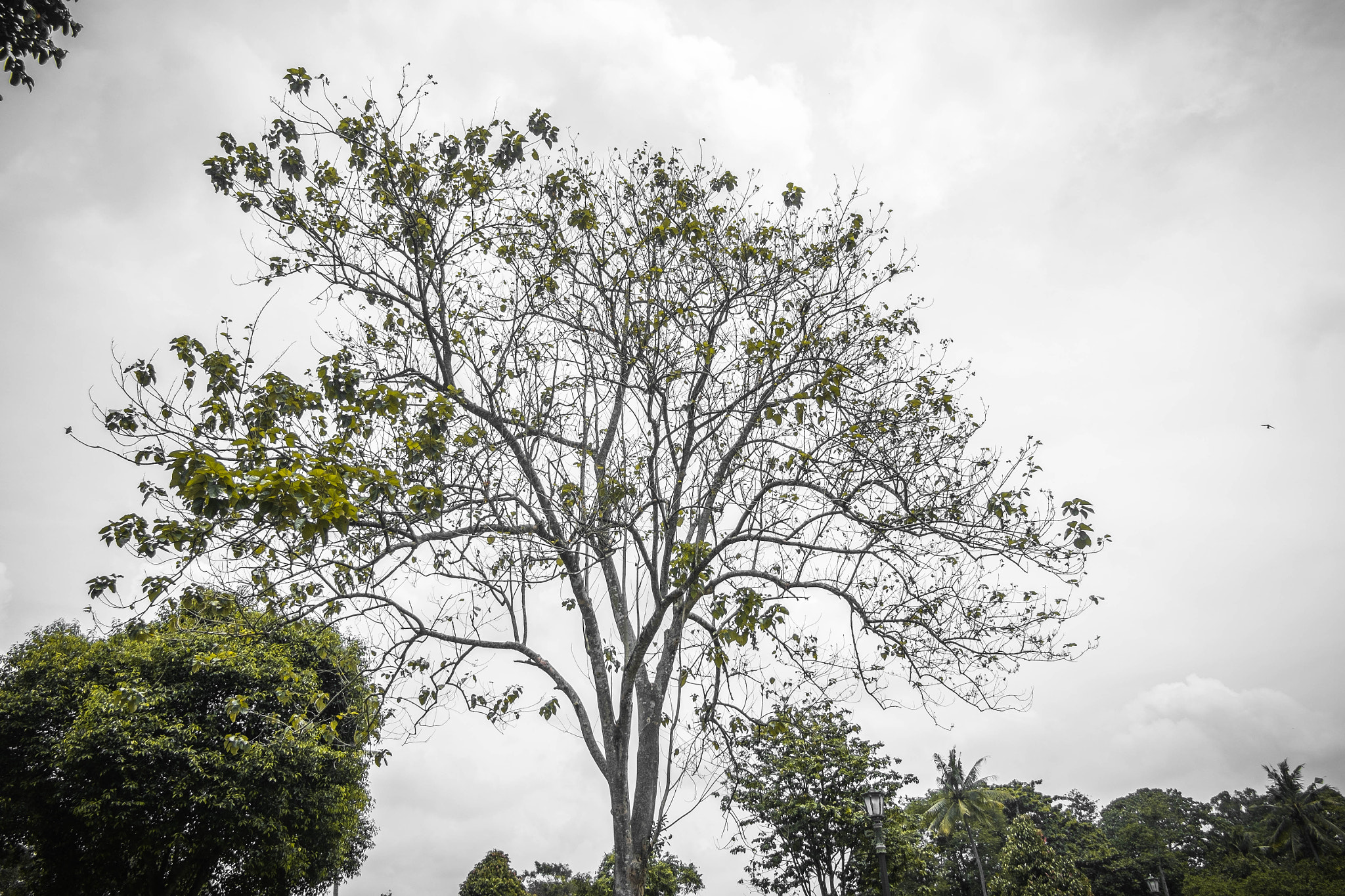Fujifilm XC 16-50mm F3.5-5.6 OIS sample photo. You're not alone ~ photography