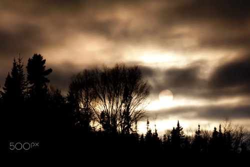 Nikon D700 sample photo. Fading light photography