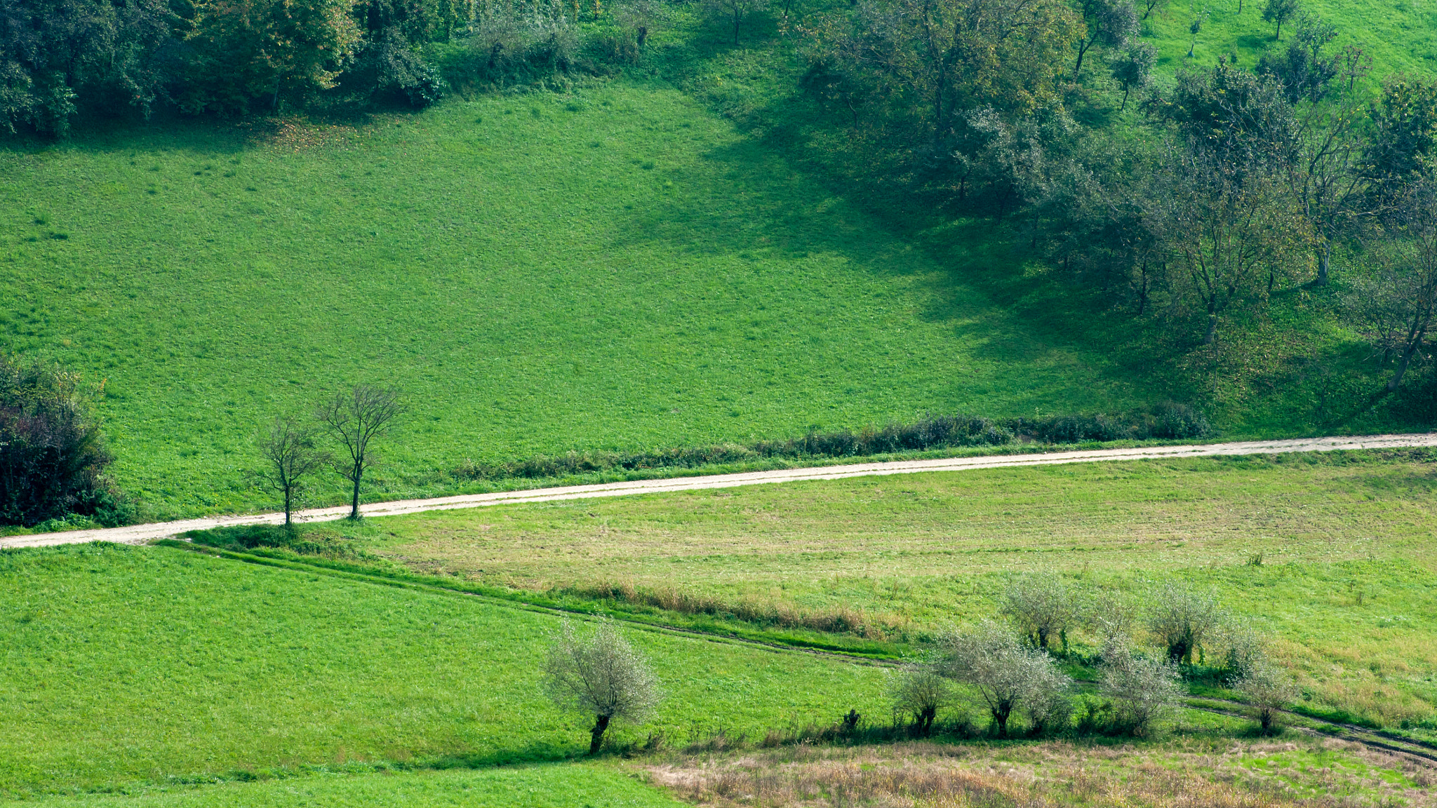 Pentax smc DA* 50-135mm F2.8 ED (IF) SDM sample photo. From the archives: country road photography