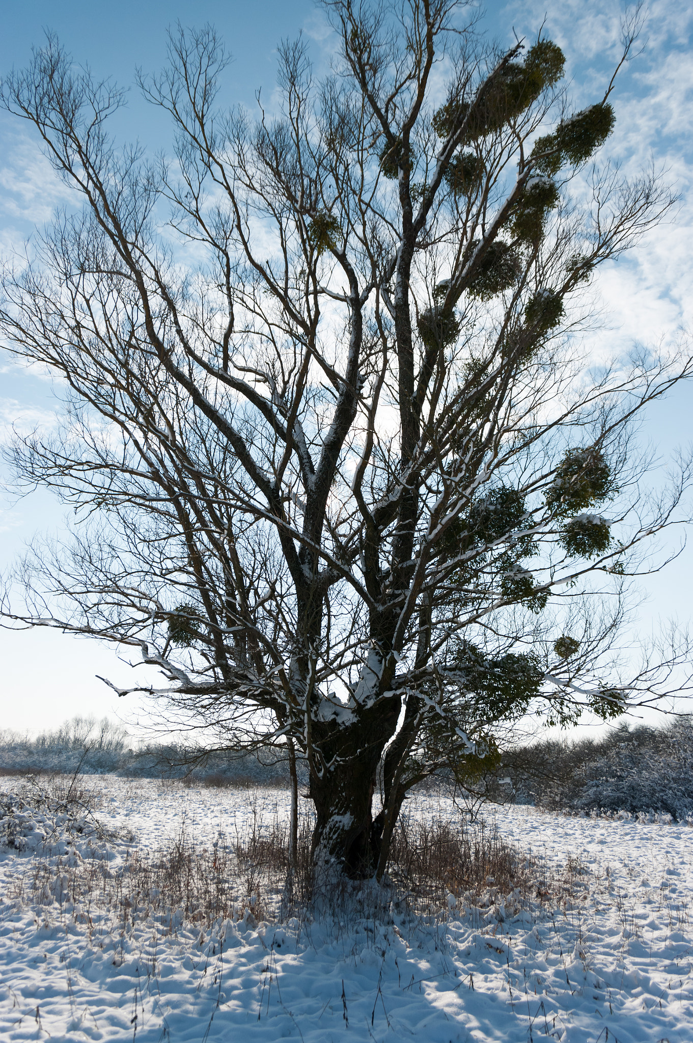 Pentax K20D + Pentax smc DA 16-45mm F4 ED AL sample photo. From the archives: shadow play photography