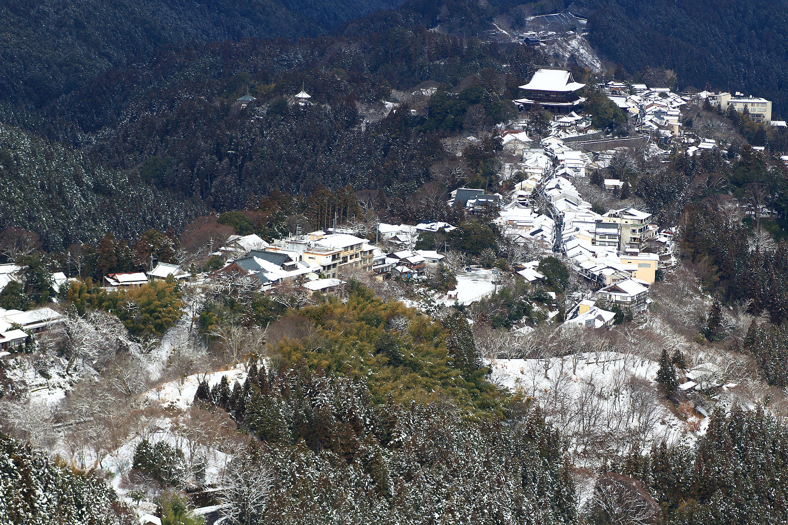 Canon EOS 100D (EOS Rebel SL1 / EOS Kiss X7) + Tamron SP AF 90mm F2.8 Di Macro sample photo. Town on ridge photography