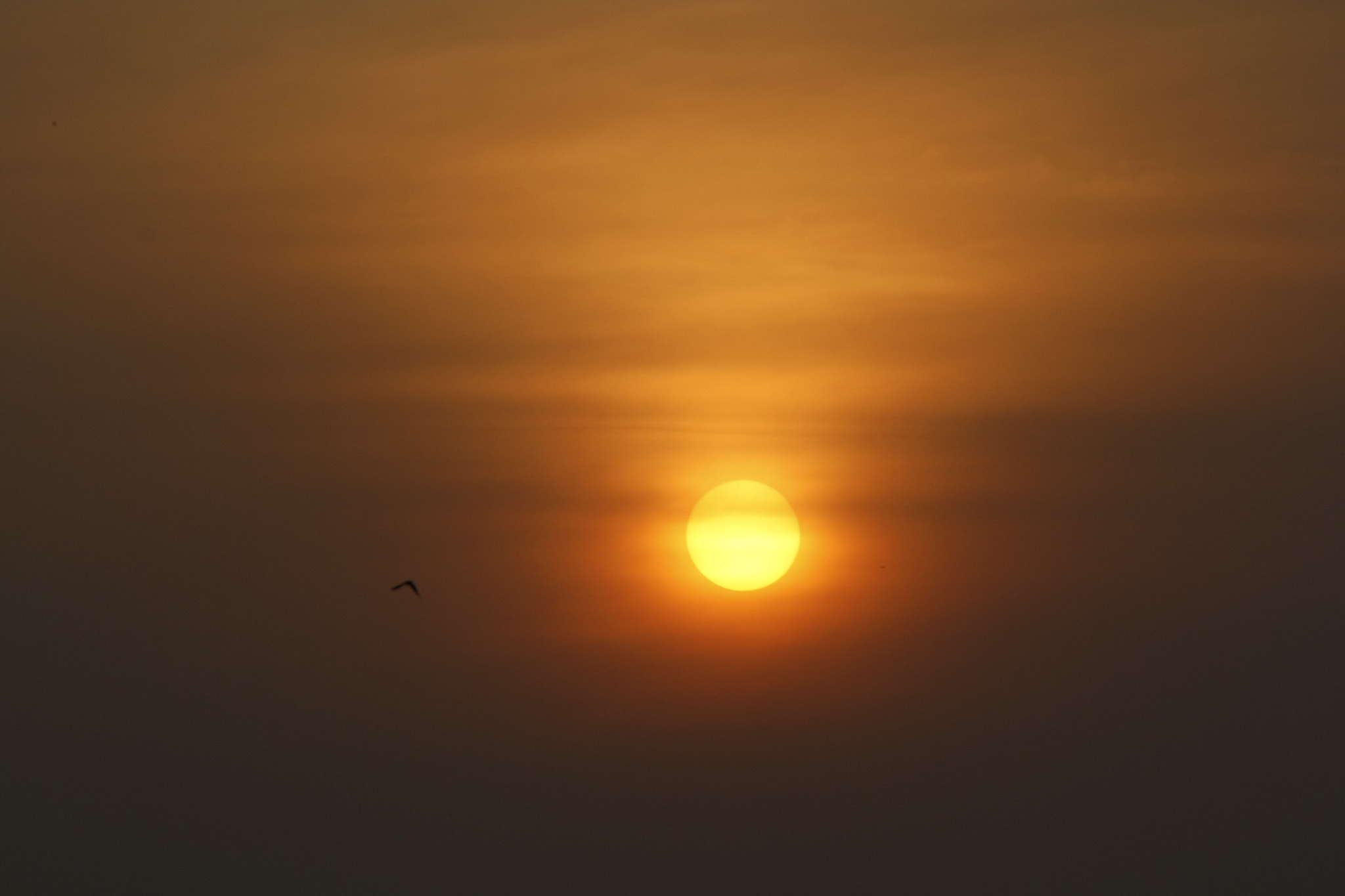 Canon EOS 1000D (EOS Digital Rebel XS / EOS Kiss F) sample photo. Sunset ........ photography