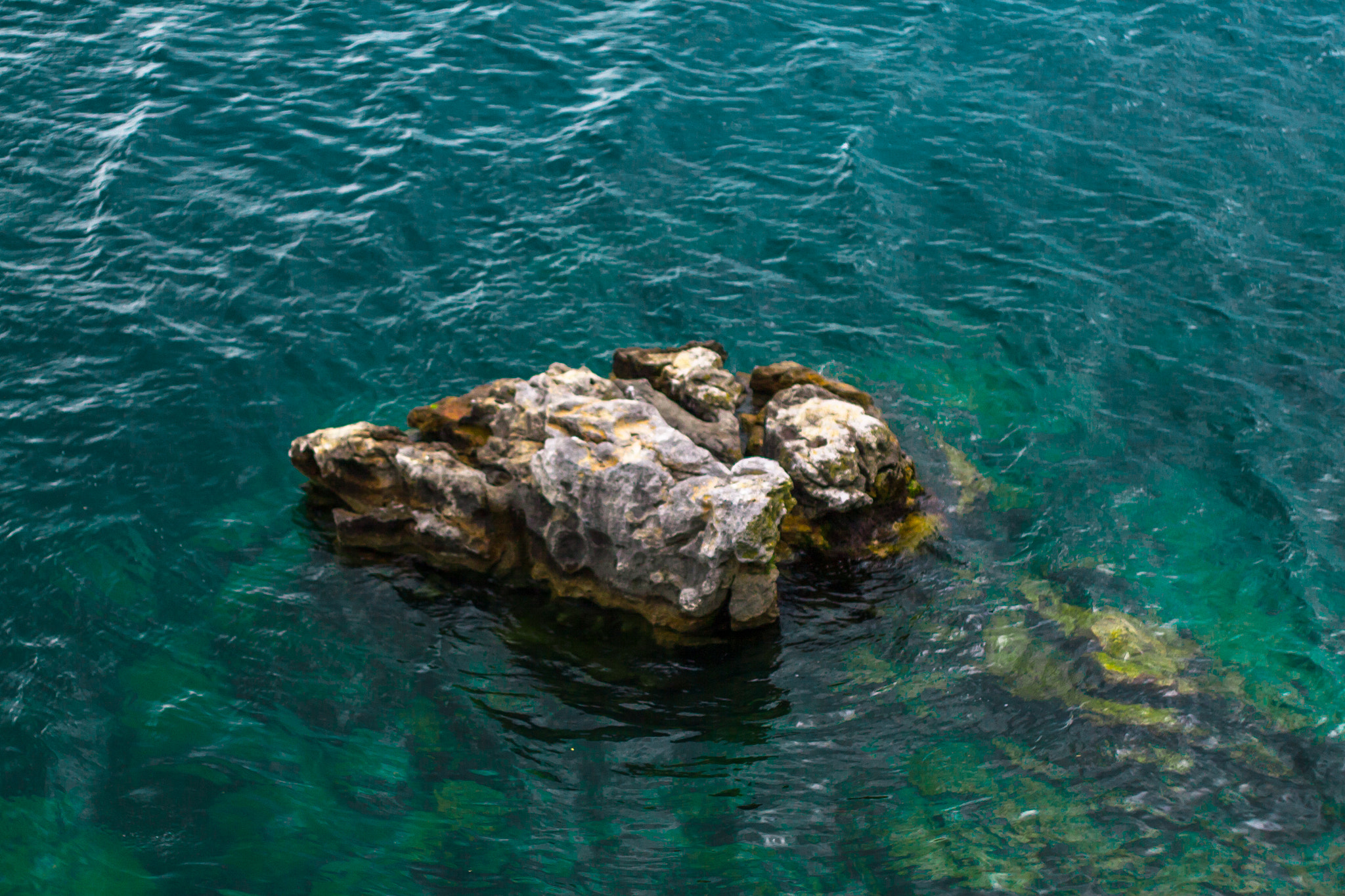 Canon EOS 30D + Canon EF 50mm f/1.8 sample photo. Stone in water near the shore of lake ohrid in macedonia photography