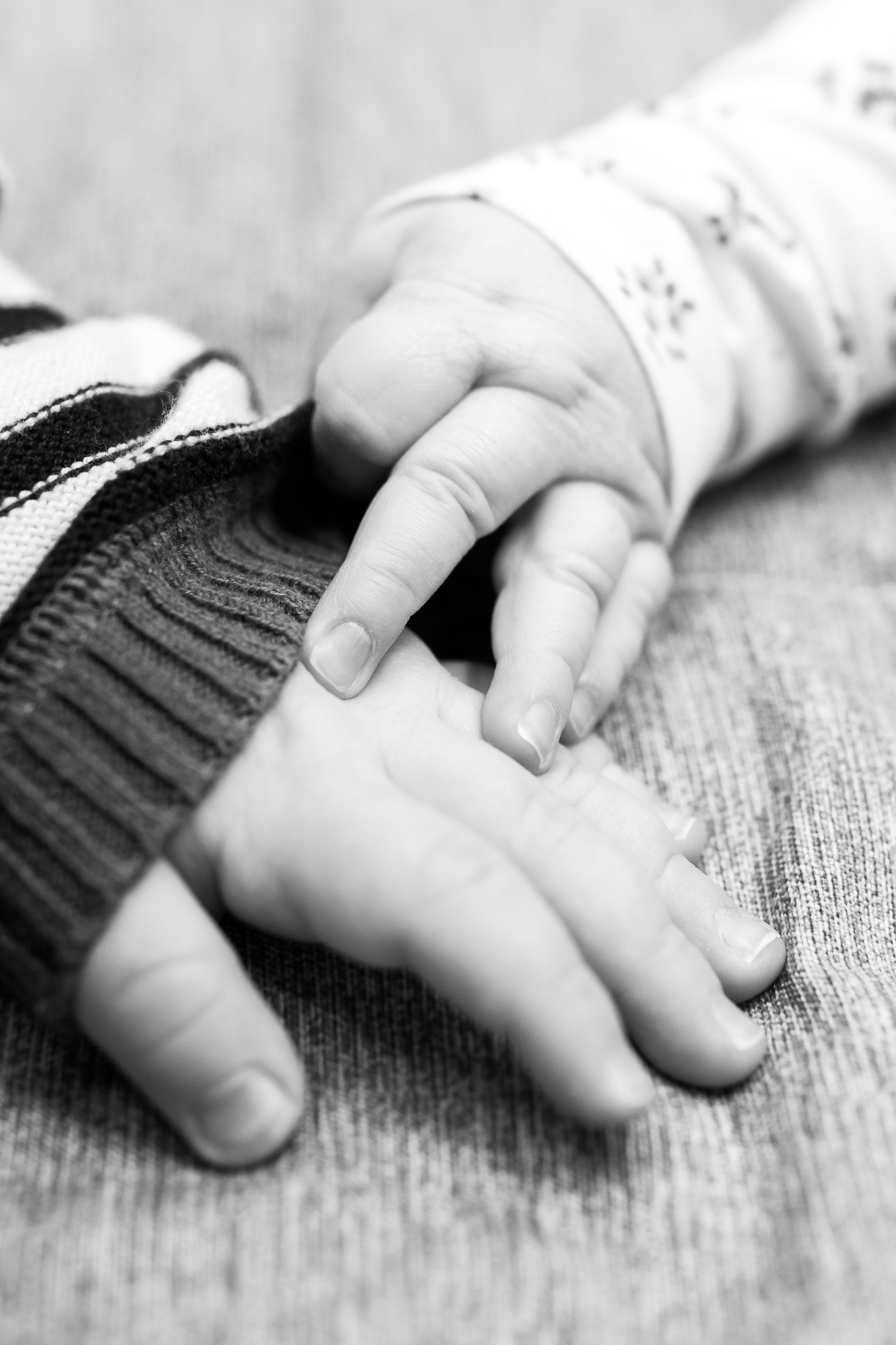 Canon EF 35mm F1.4L USM sample photo. Gentle touch photography