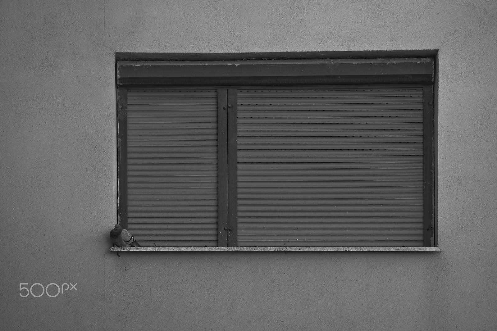 Nikon D7200 sample photo. Lonely photography