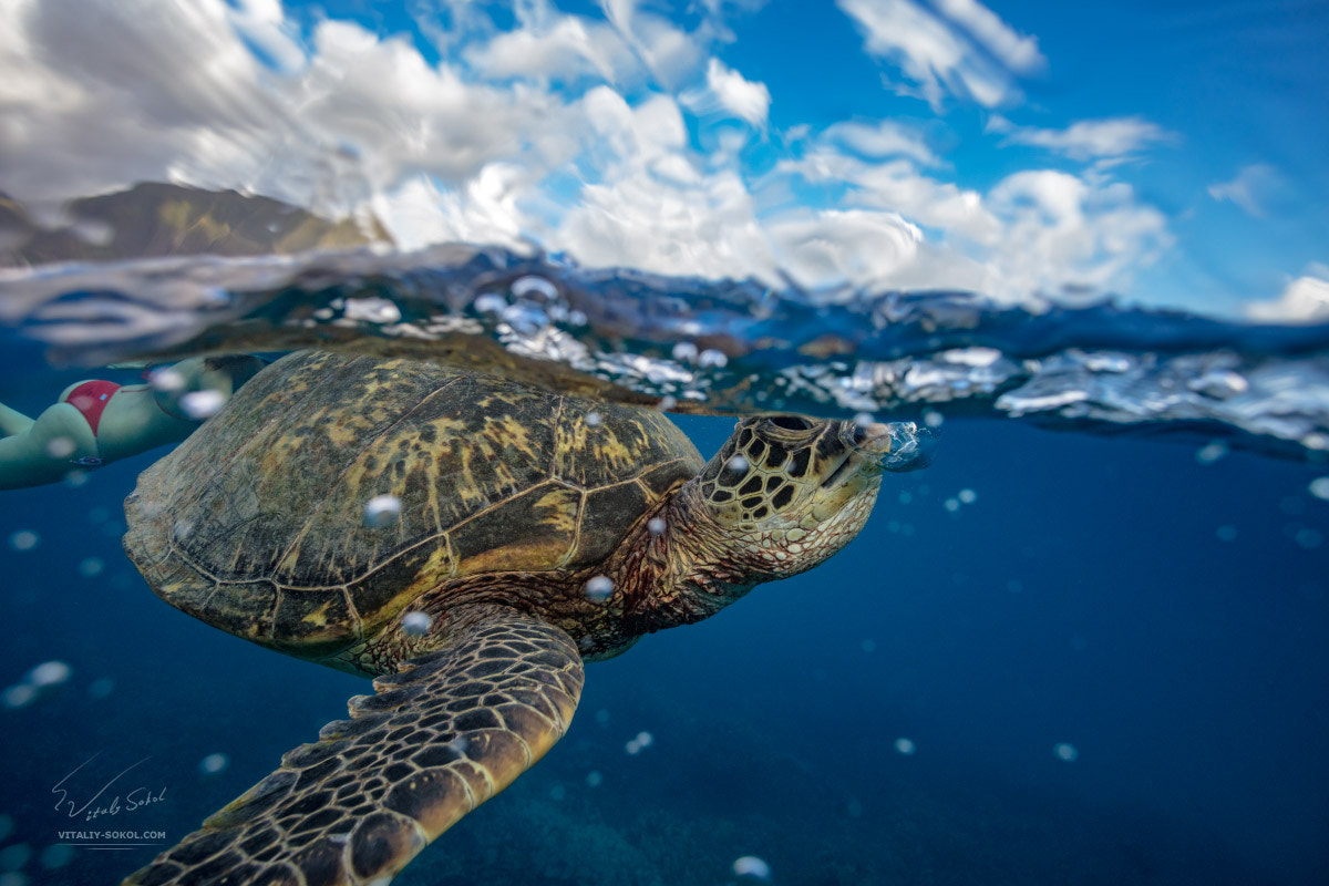 Canon EOS 5DS R + Canon EF 20mm F2.8 USM sample photo. Mr. bubblemaker photography