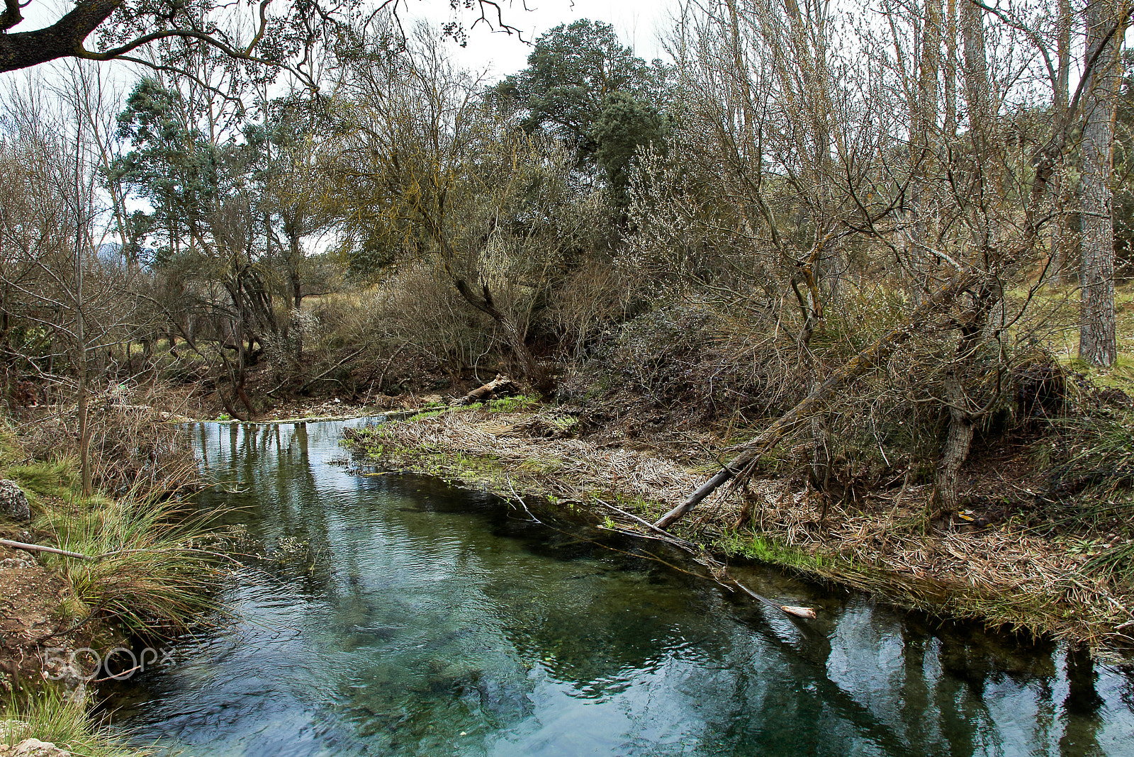 Canon EOS 1200D (EOS Rebel T5 / EOS Kiss X70 / EOS Hi) sample photo. Vinalopo river photography